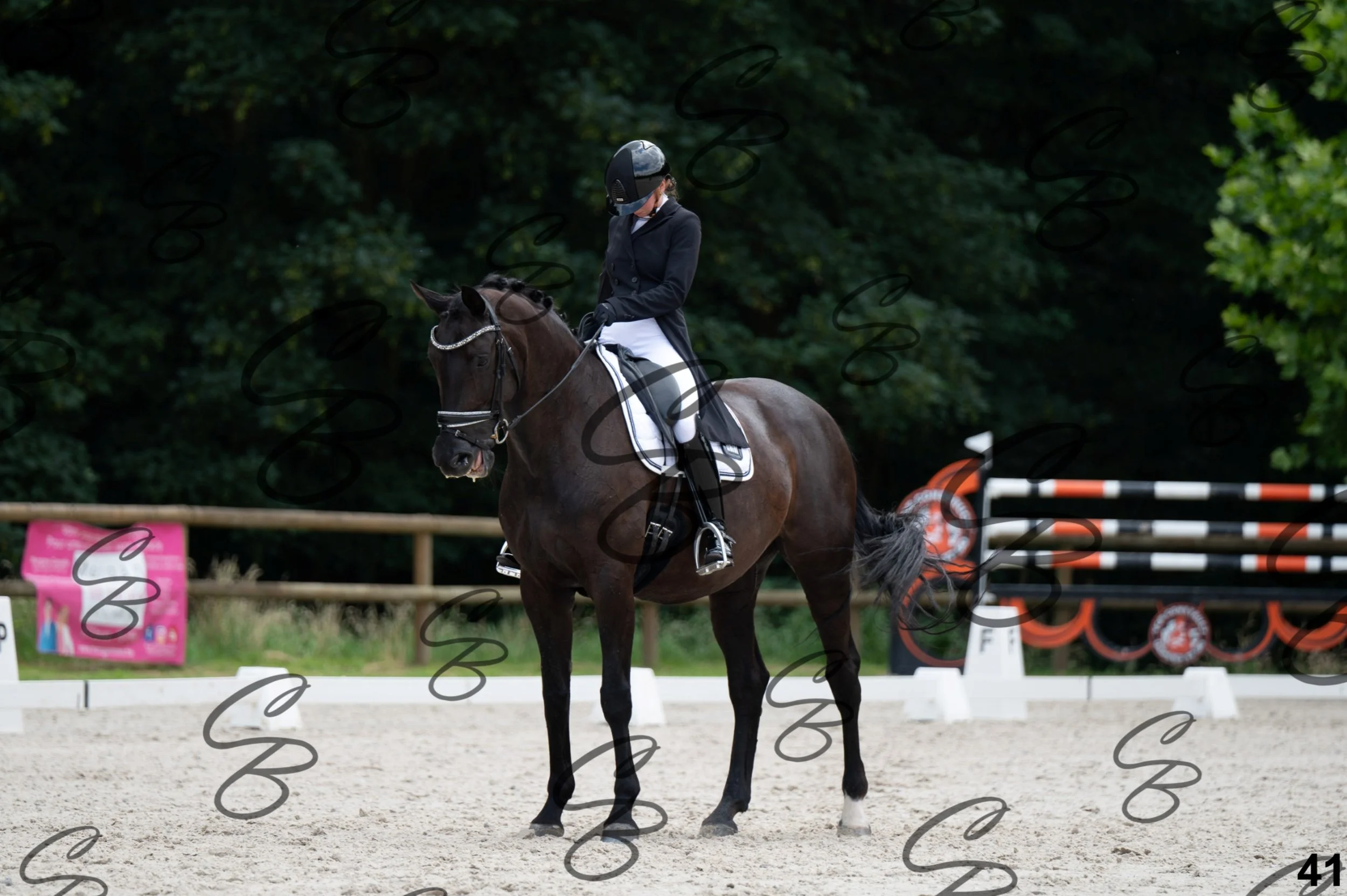 2026.07.04 - 4 Caro Van Sinay-7.jpg