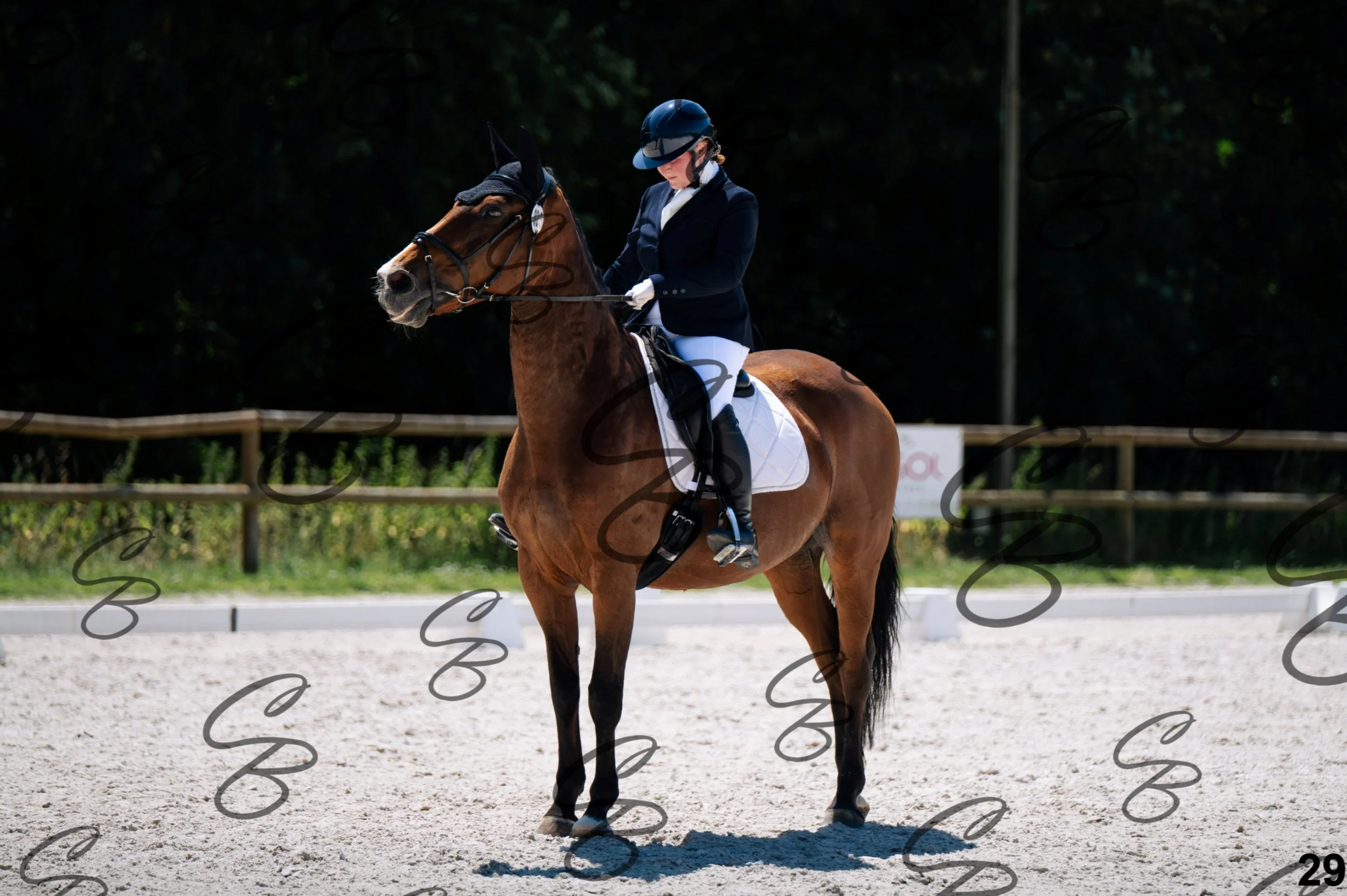 2026.07.12 - Niveau 1 - N1.5-29.jpg