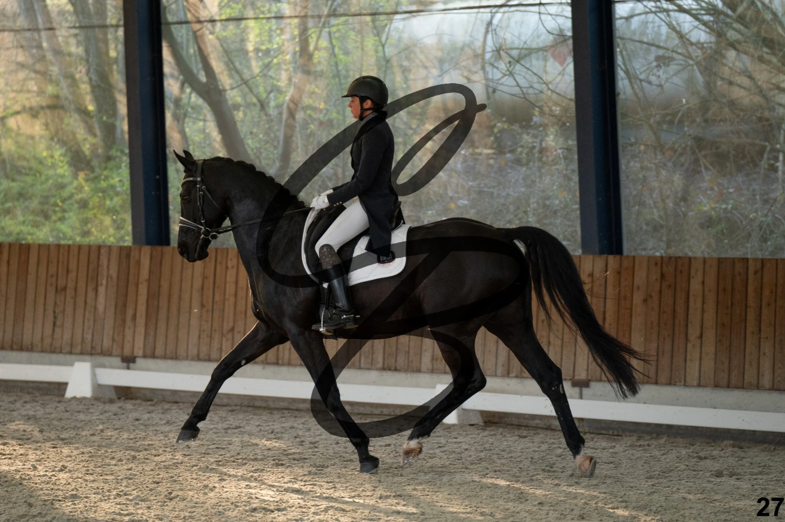 2026.03.22 - niv4.2-27.jpg