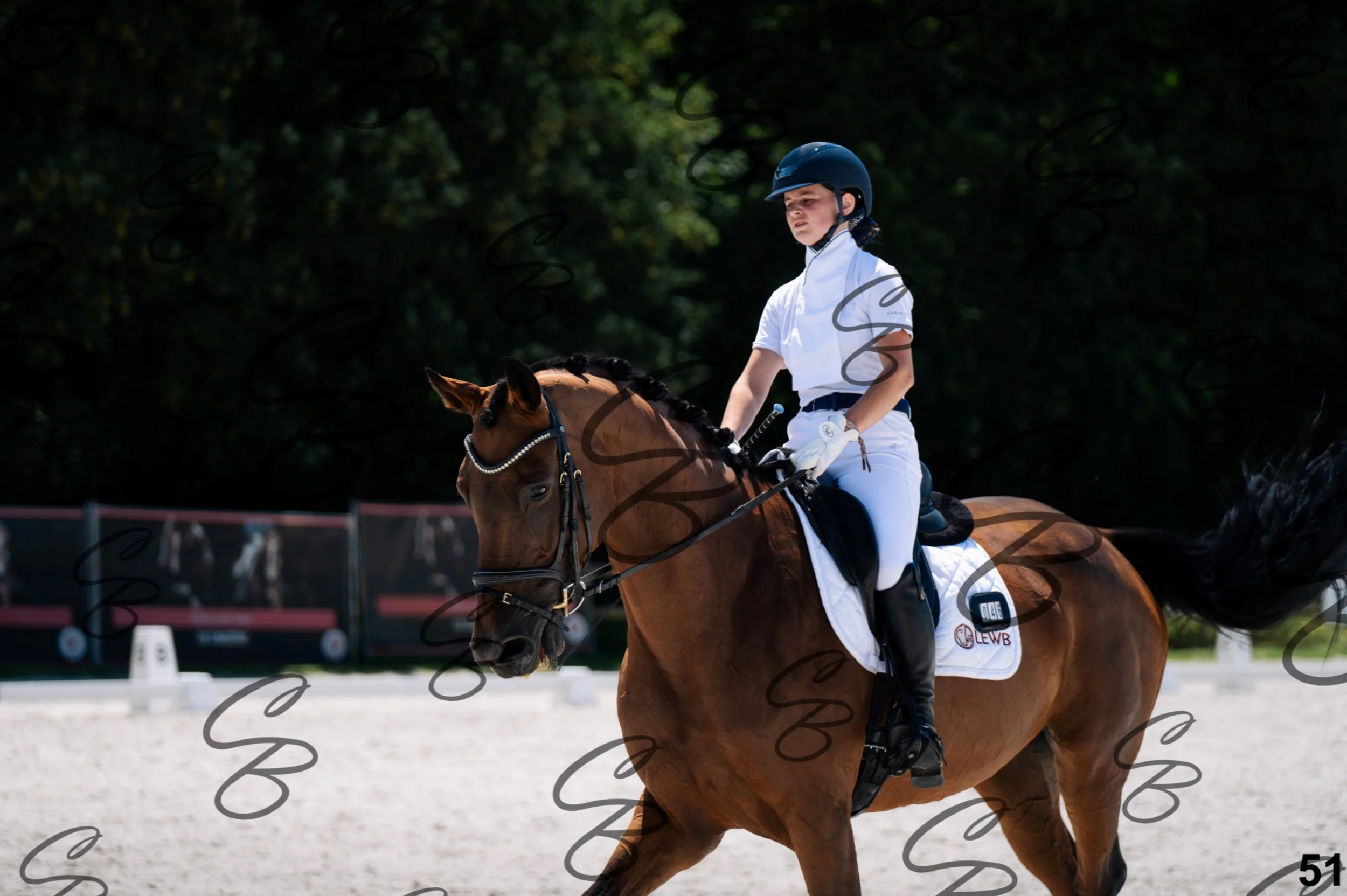 2026.07.12 - Niveau 1 - N1.5-51.jpg
