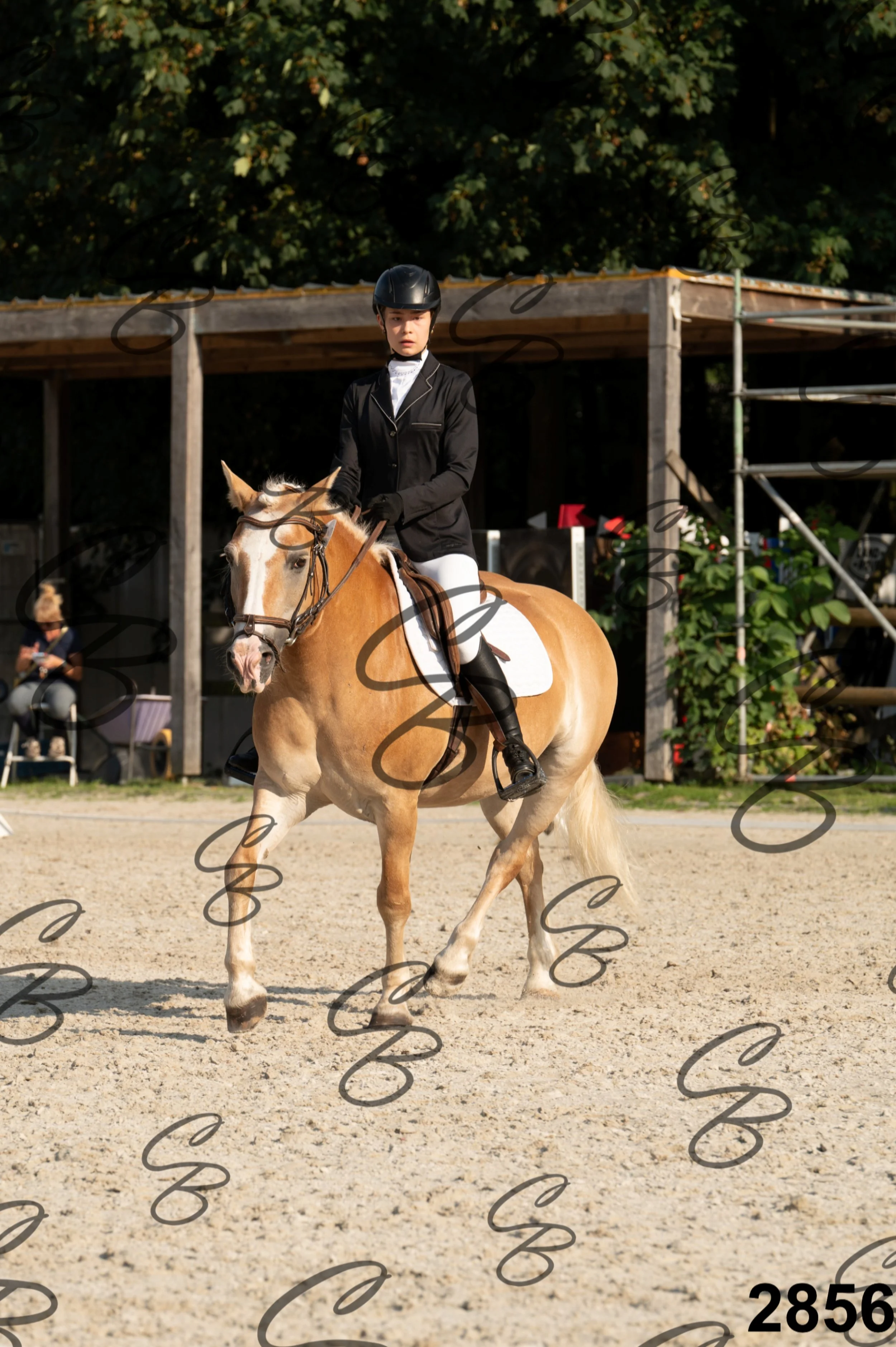 2026.08.16 - Louchier - GHO-162.jpg