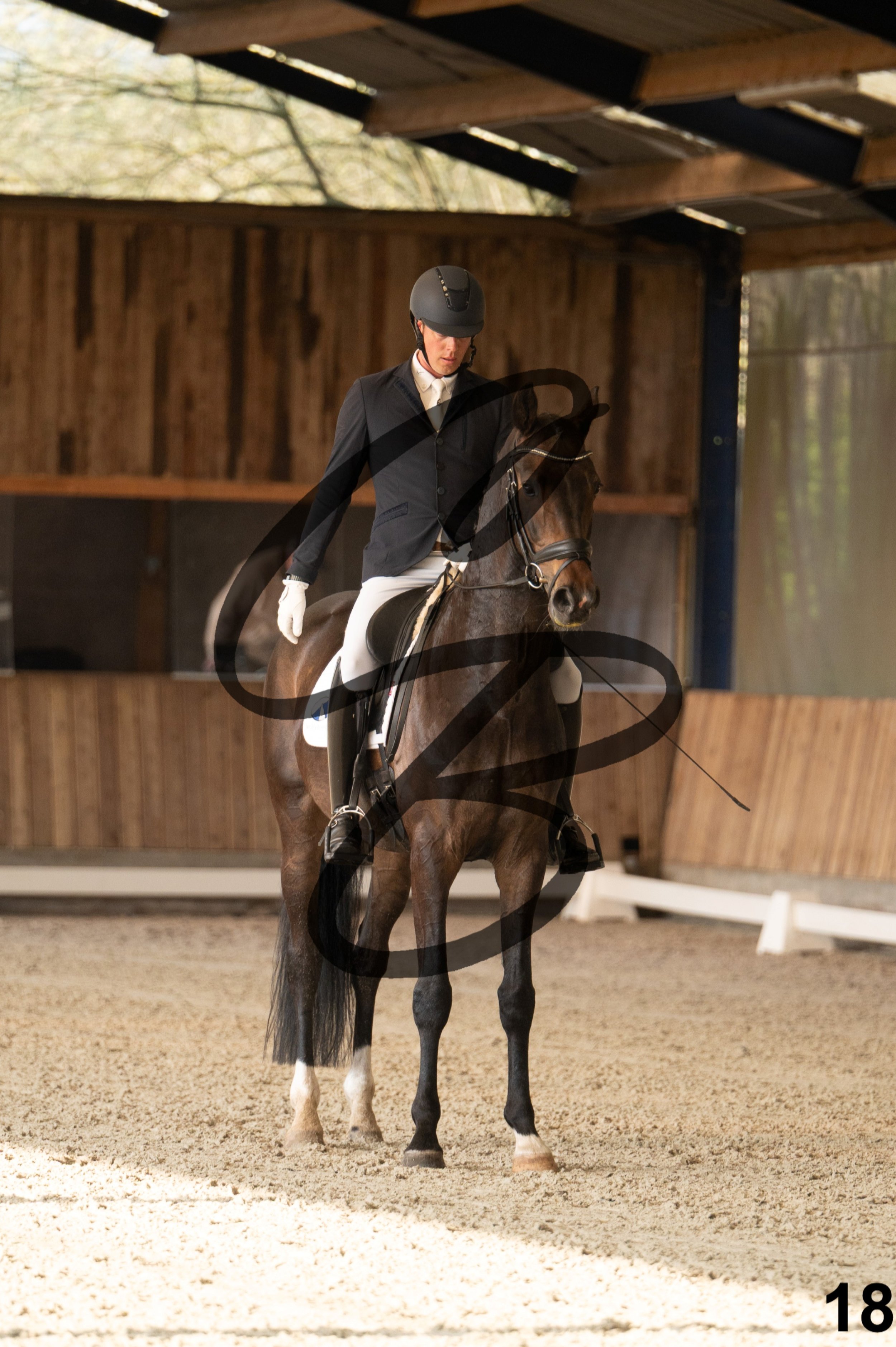 2026.03.22 - jeunes chevaux - 6ans-18.jpg