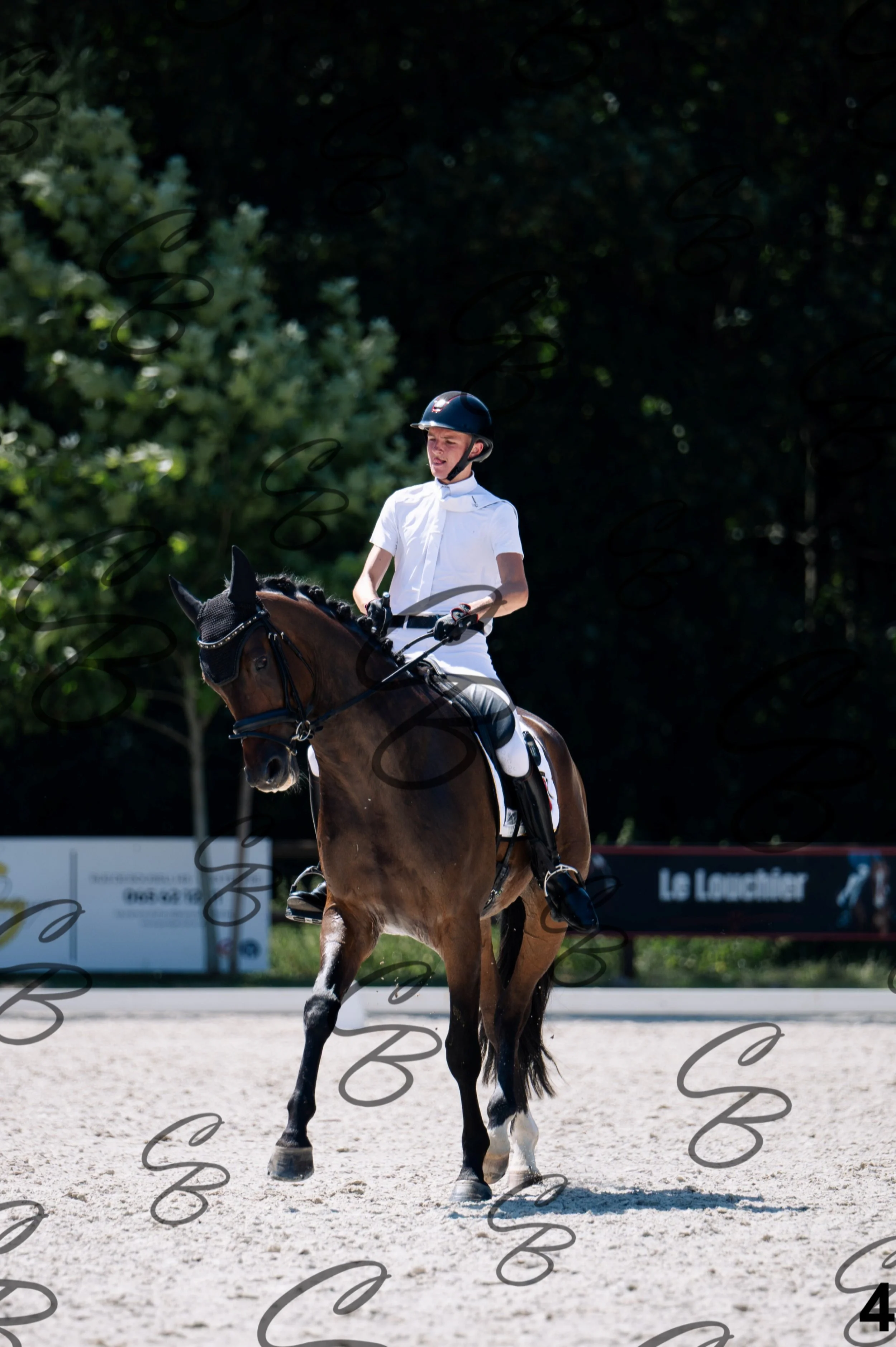 2026.07.12 - Jeunes chevaux - FEI 6YH Preliminary Test-4.jpg