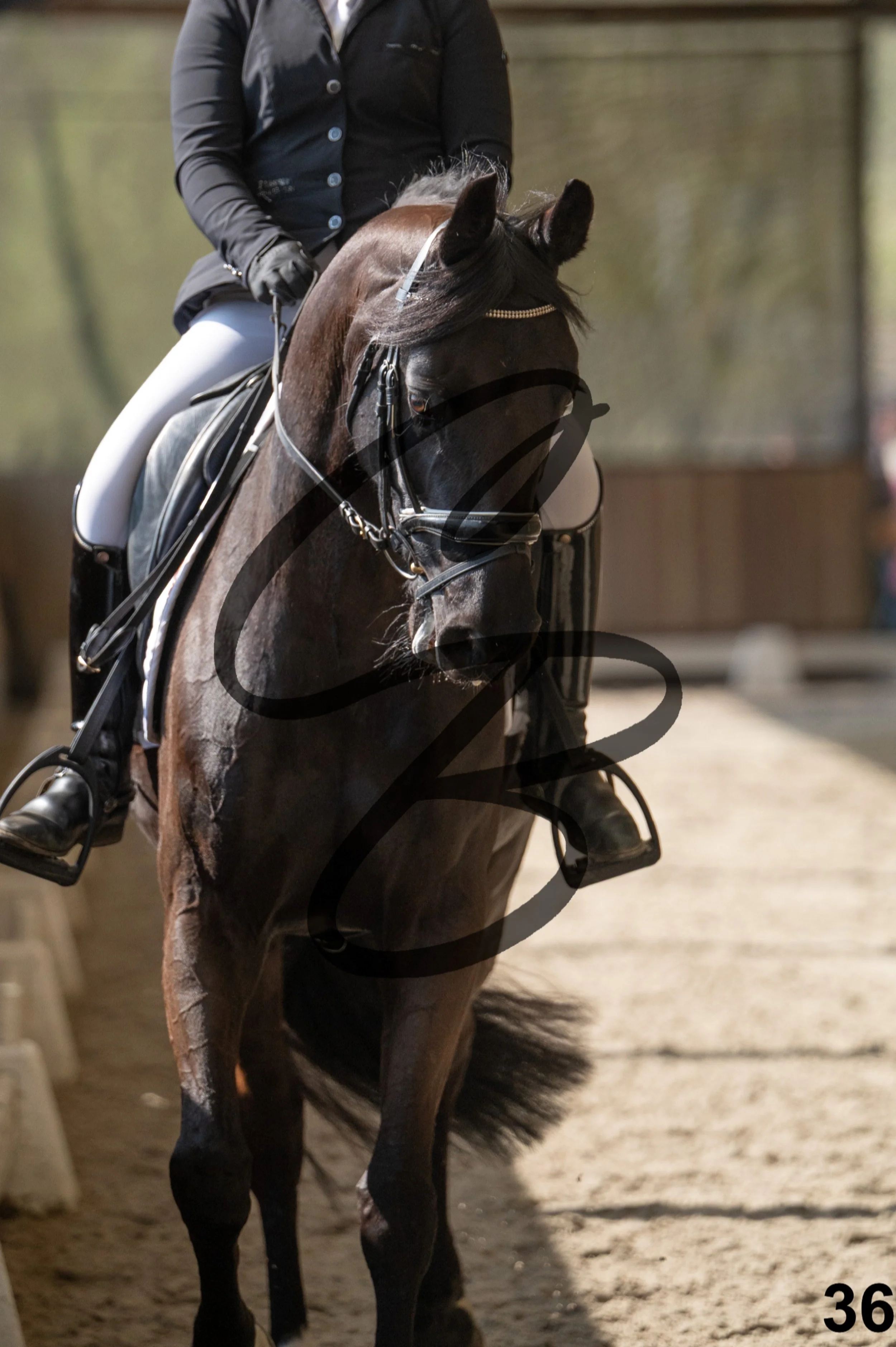 2026.03.22 - Niv4 - junior team test-36.jpg