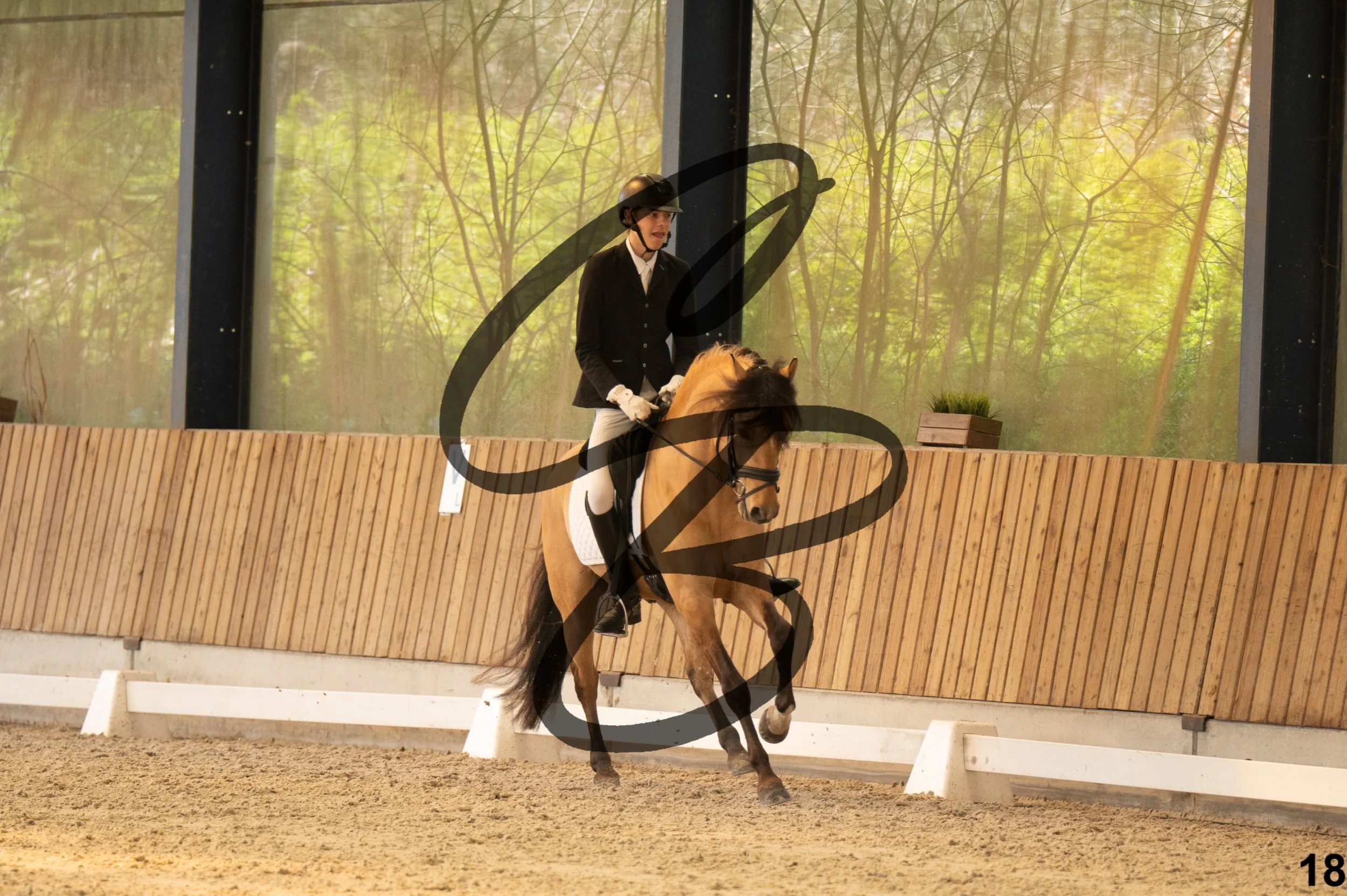 2026.03.22 - Niv3 - Pony individual test-18.jpg