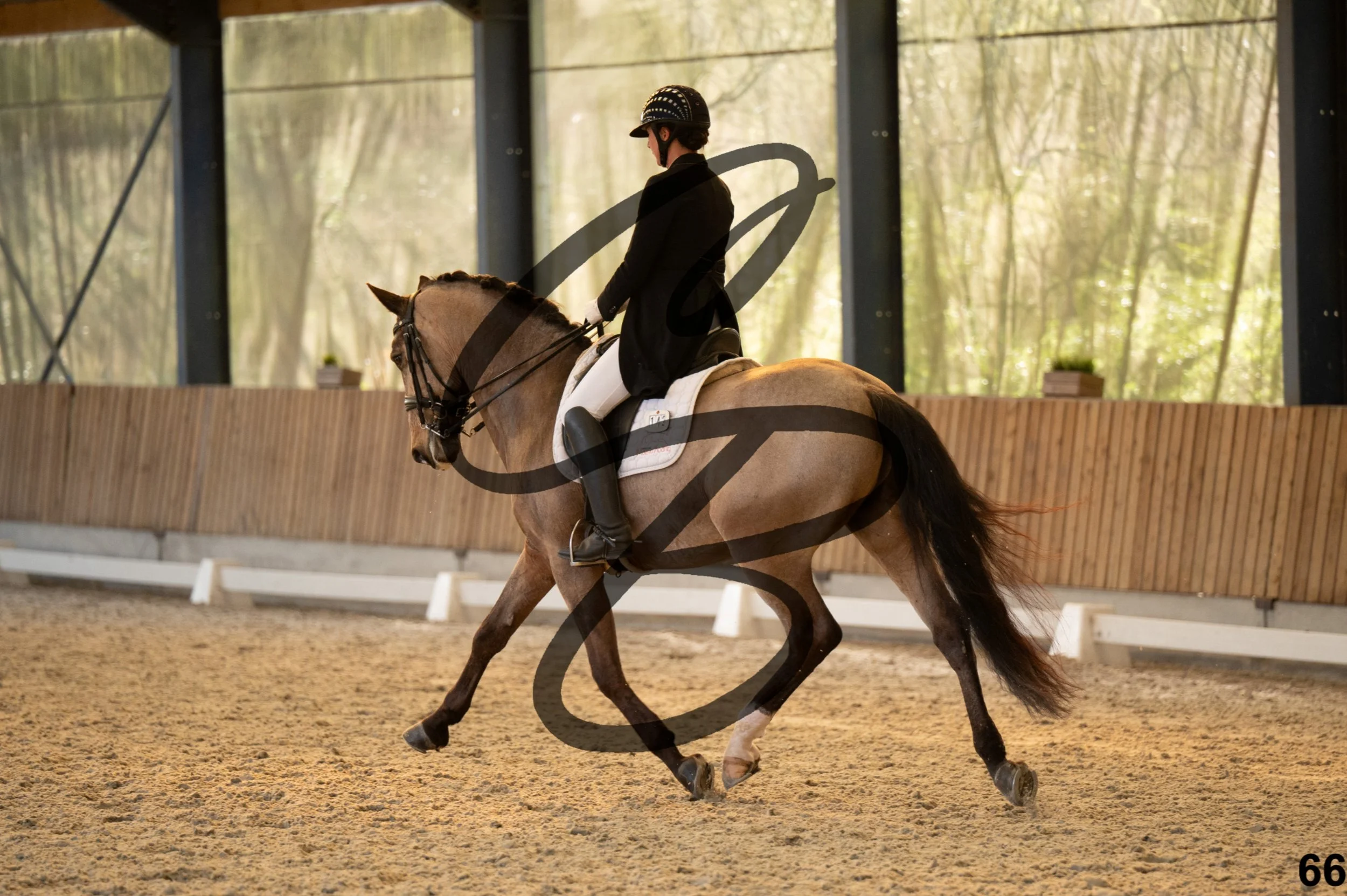 2026.03.22 - grand prix-66.jpg