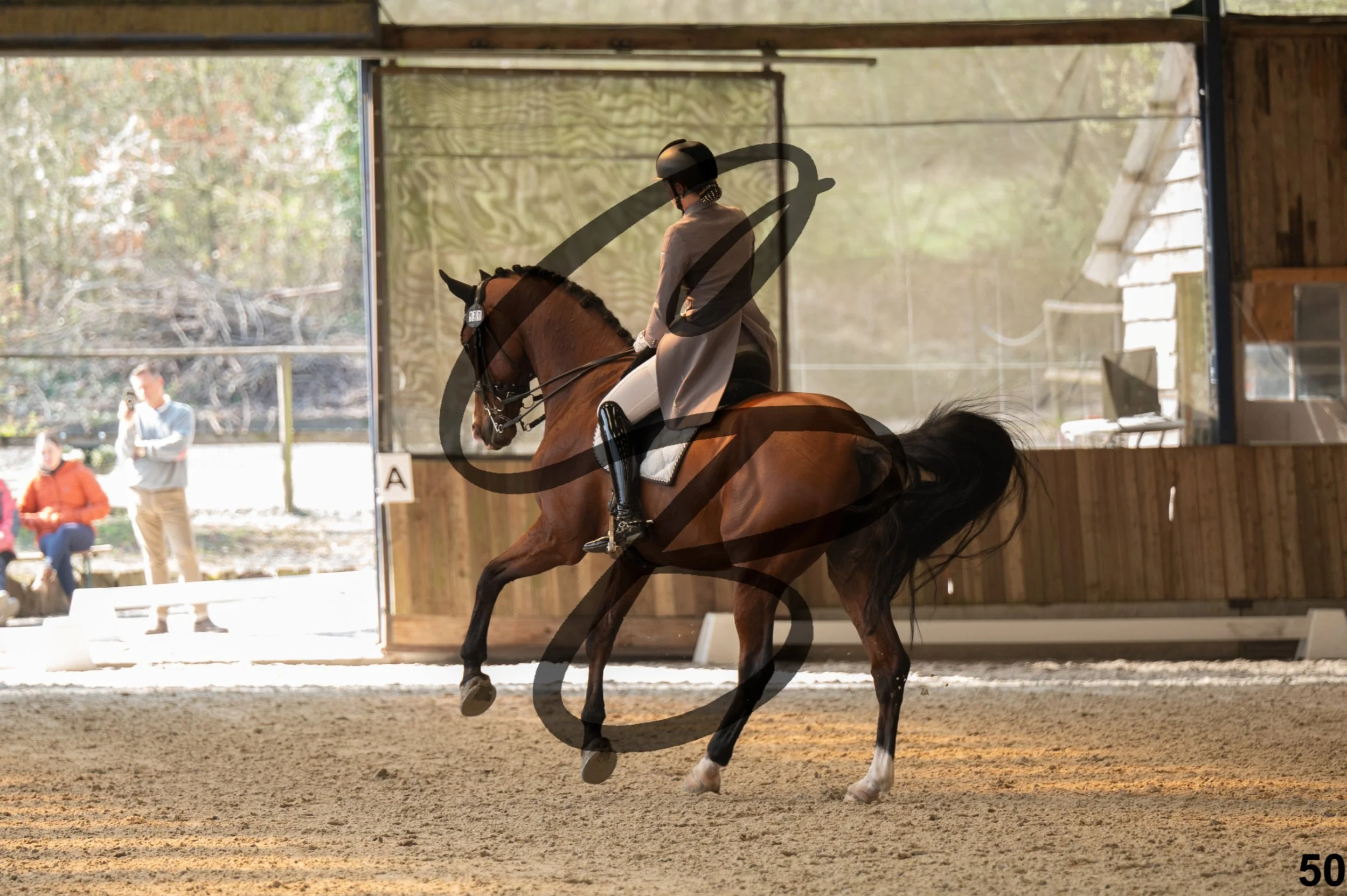 2026.03.22 - Niv5 - Young rider team-50.jpg