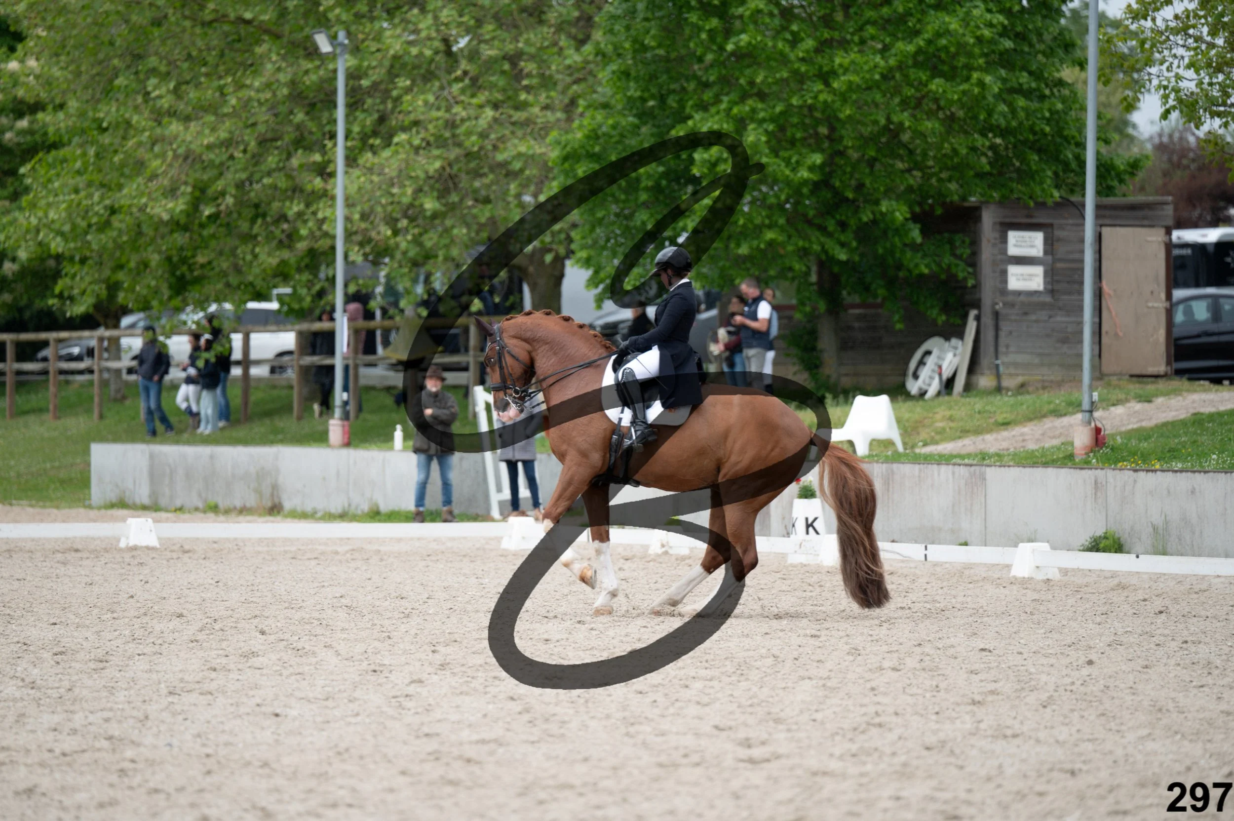 03052026-FLE_7507.jpg