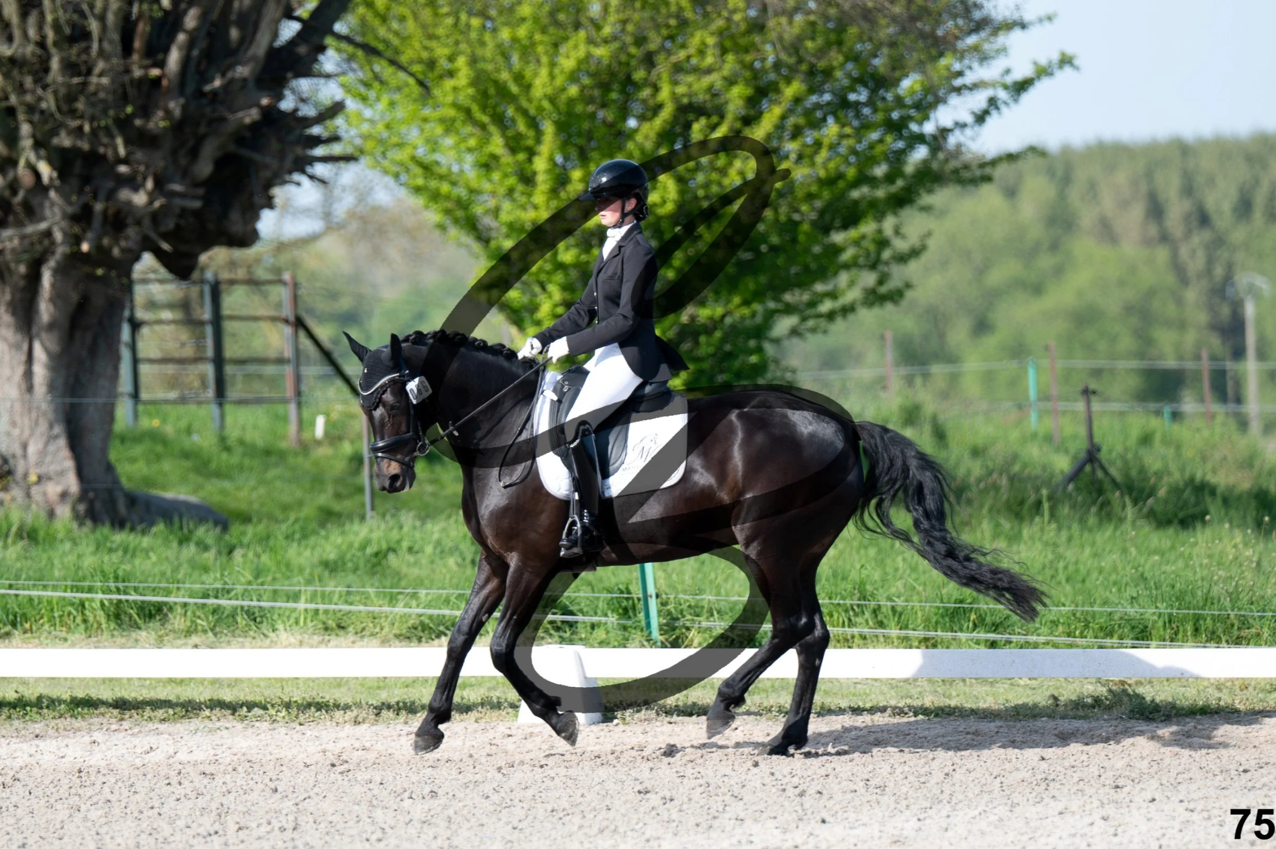 2026.04.26 - Manon - Grand Reng-75.jpg