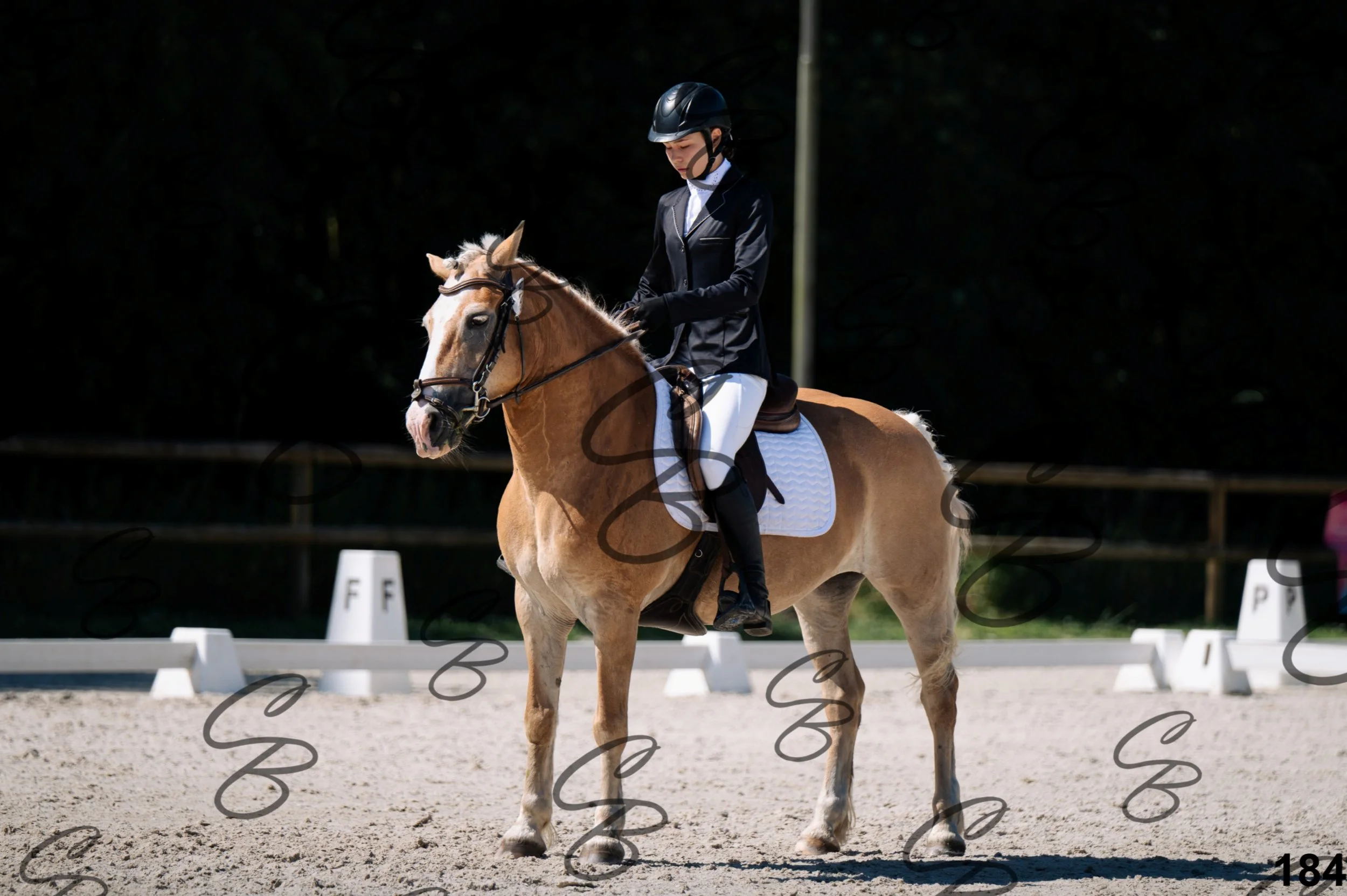 2026.07.12 -106 Niveau Initiation Poneys - Ini.6-1.jpg
