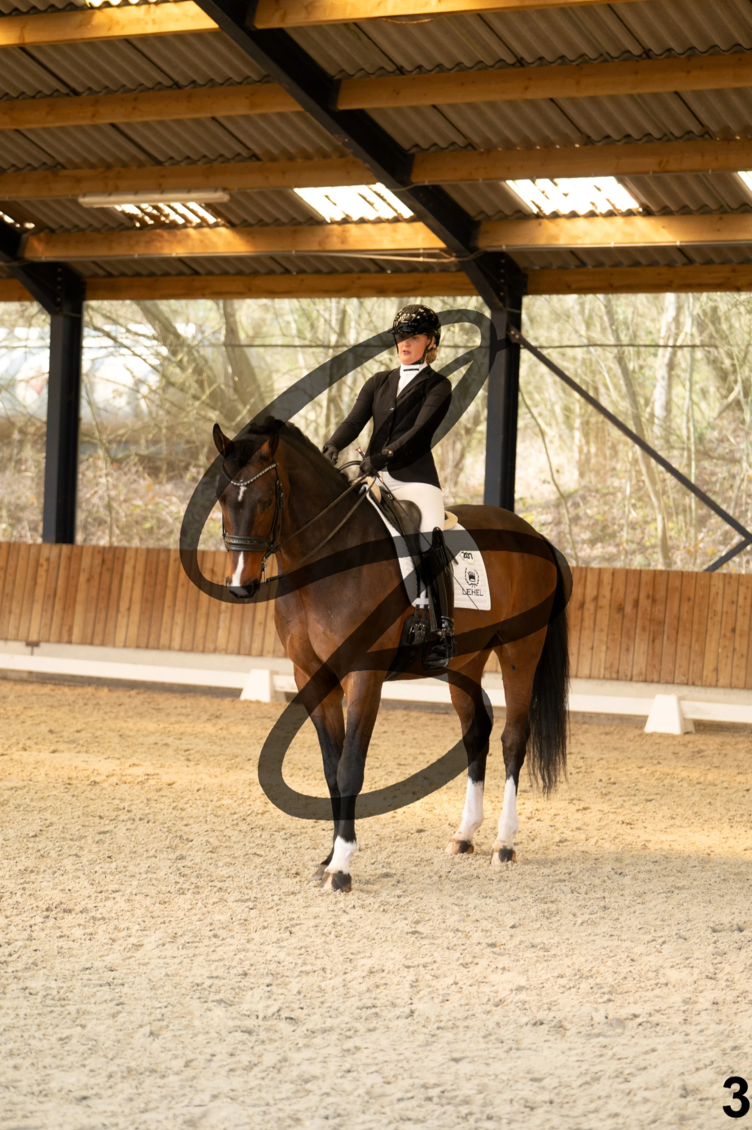 2026.03.22 - Grade 5 - grand prix test A-3.jpg