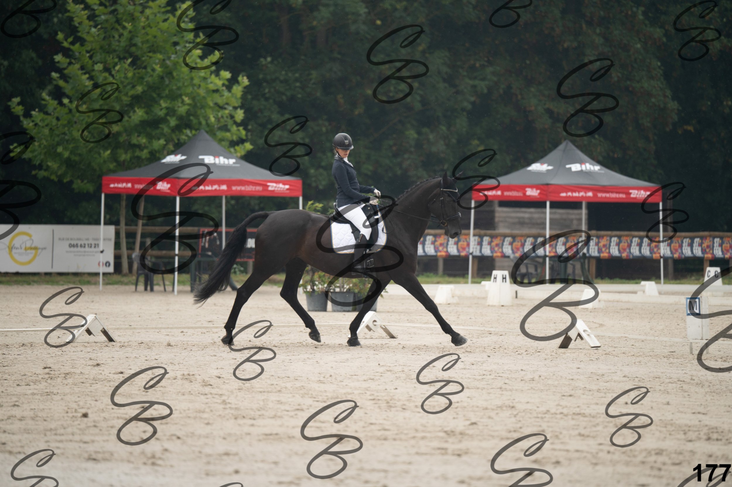 2026.08.15 - Louchier - GHO-199.jpg
