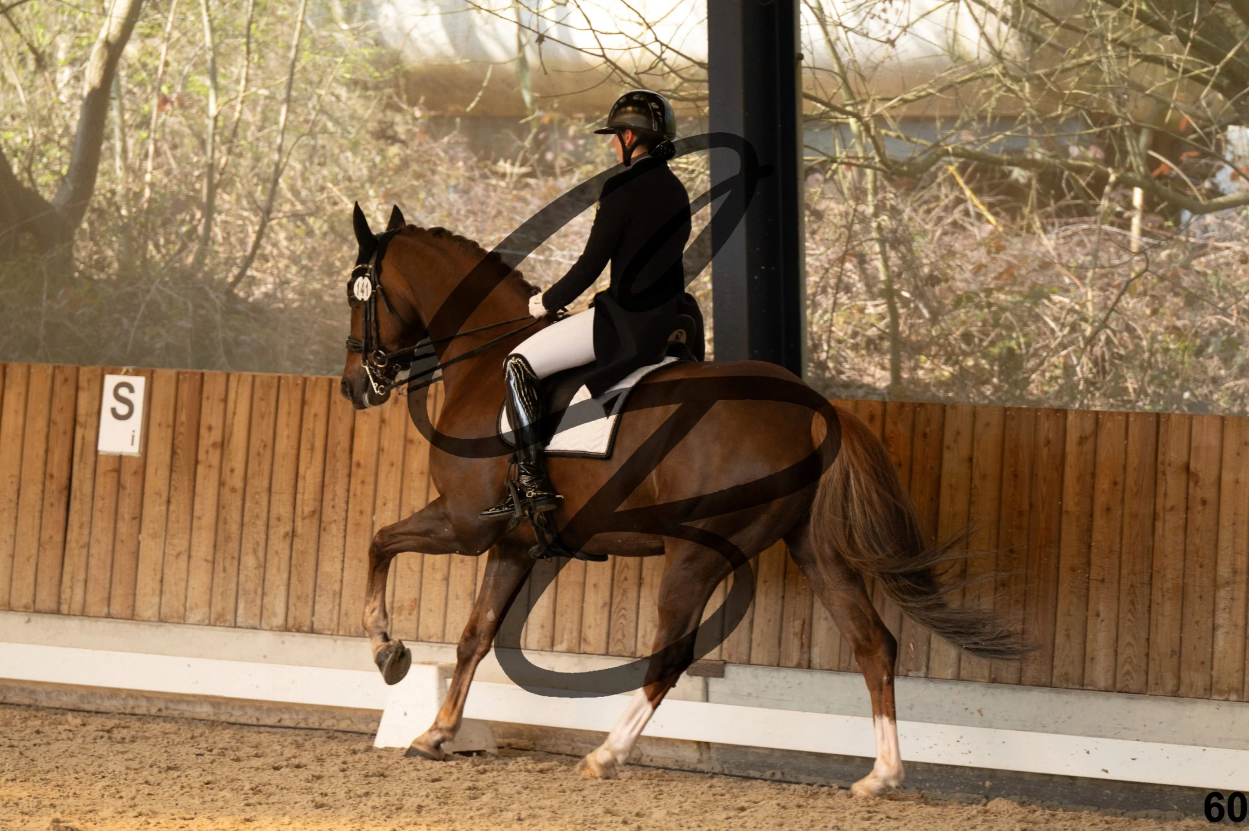 2026.03.22 - Niv4 - junior team test-60.jpg