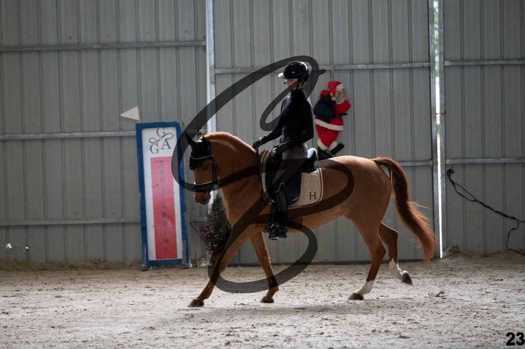 2025.12.06 - Manon&Mexx-23.jpg