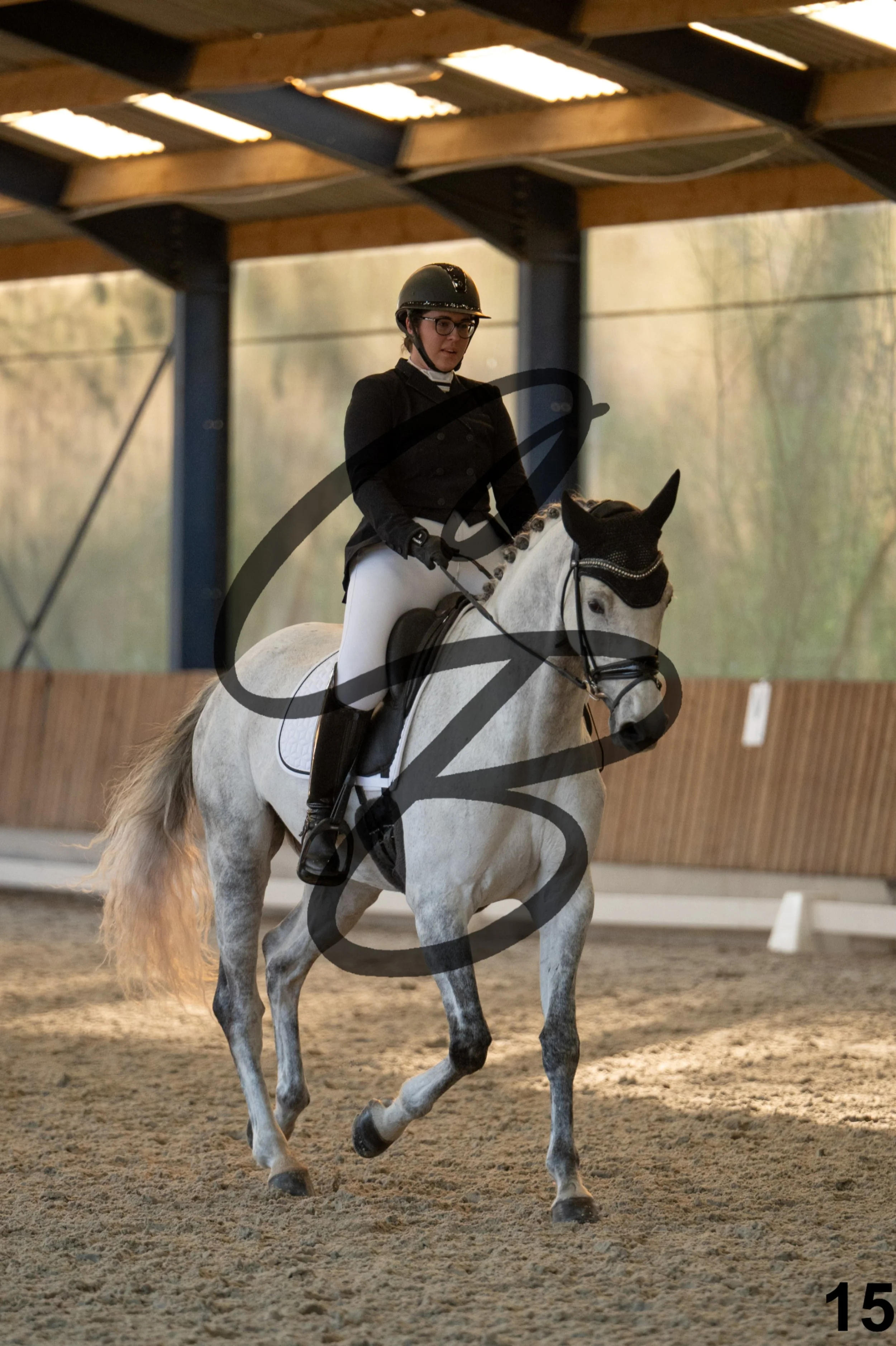 2026.03.22 - niv4.2-15.jpg