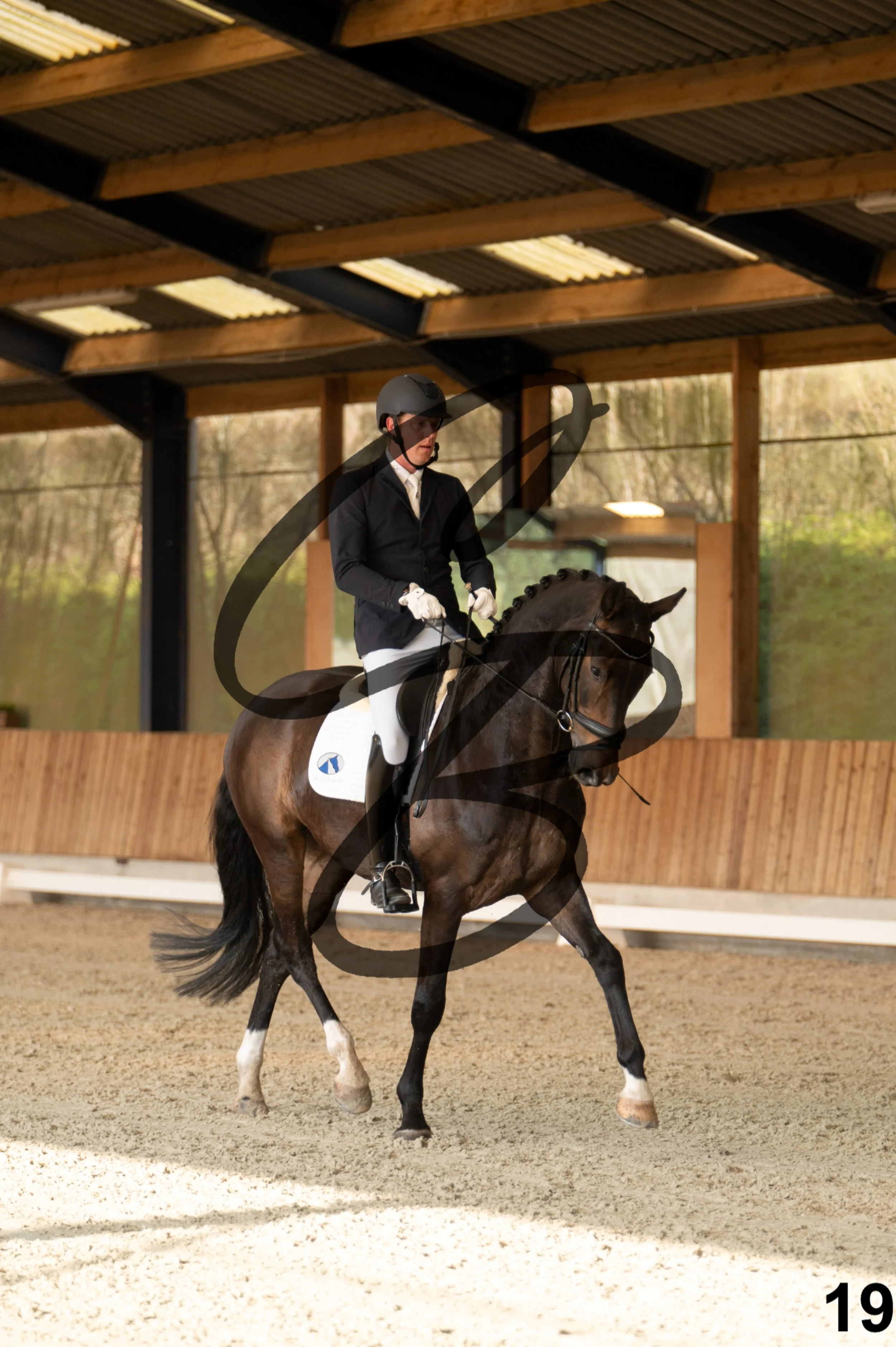 2026.03.22 - jeunes chevaux - 6ans-19.jpg