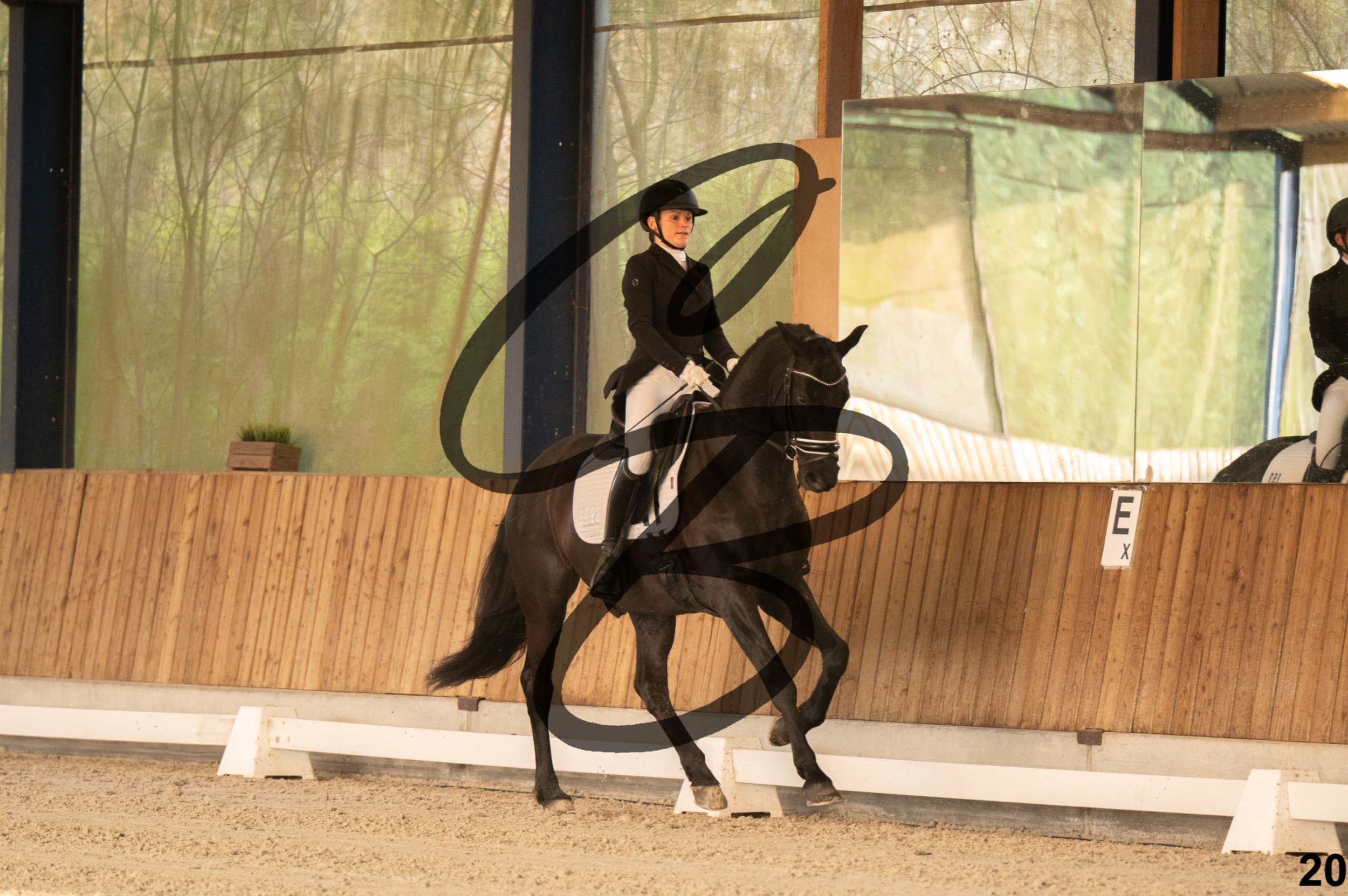 2026.03.22 - jeunes chevaux - 5ans-20.jpg