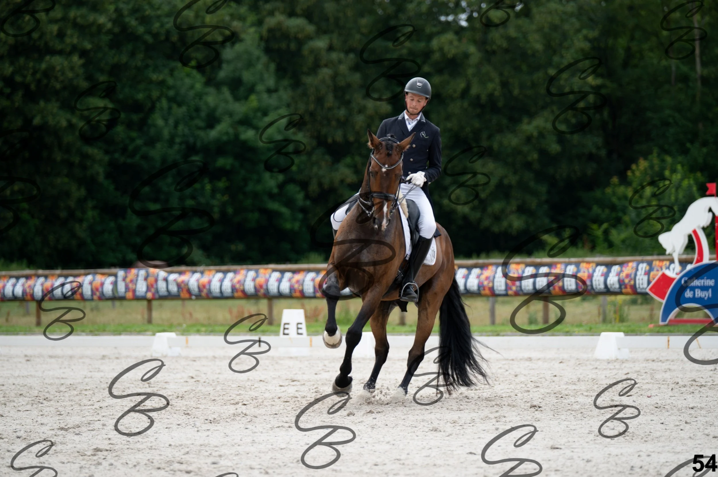 2026.07.04 - 4 Woutter D'hHoore-9.jpg
