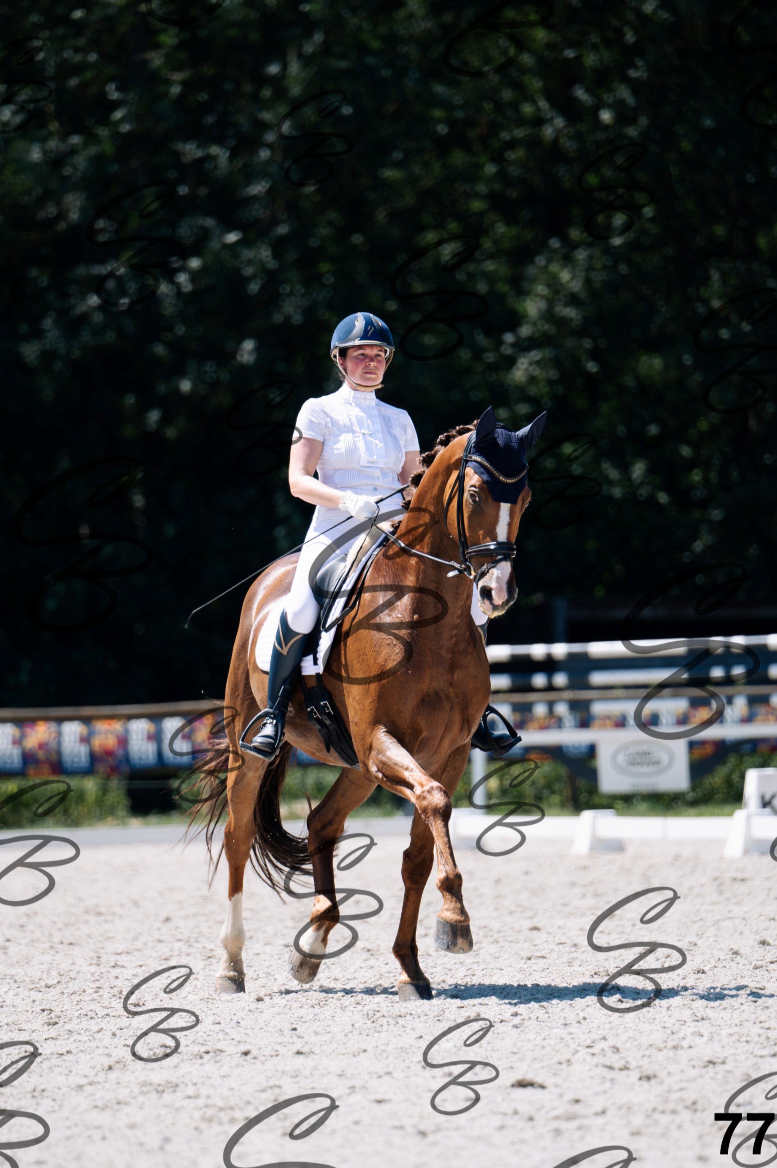 2026.07.12 - Niveau 5 - S3-77.jpg