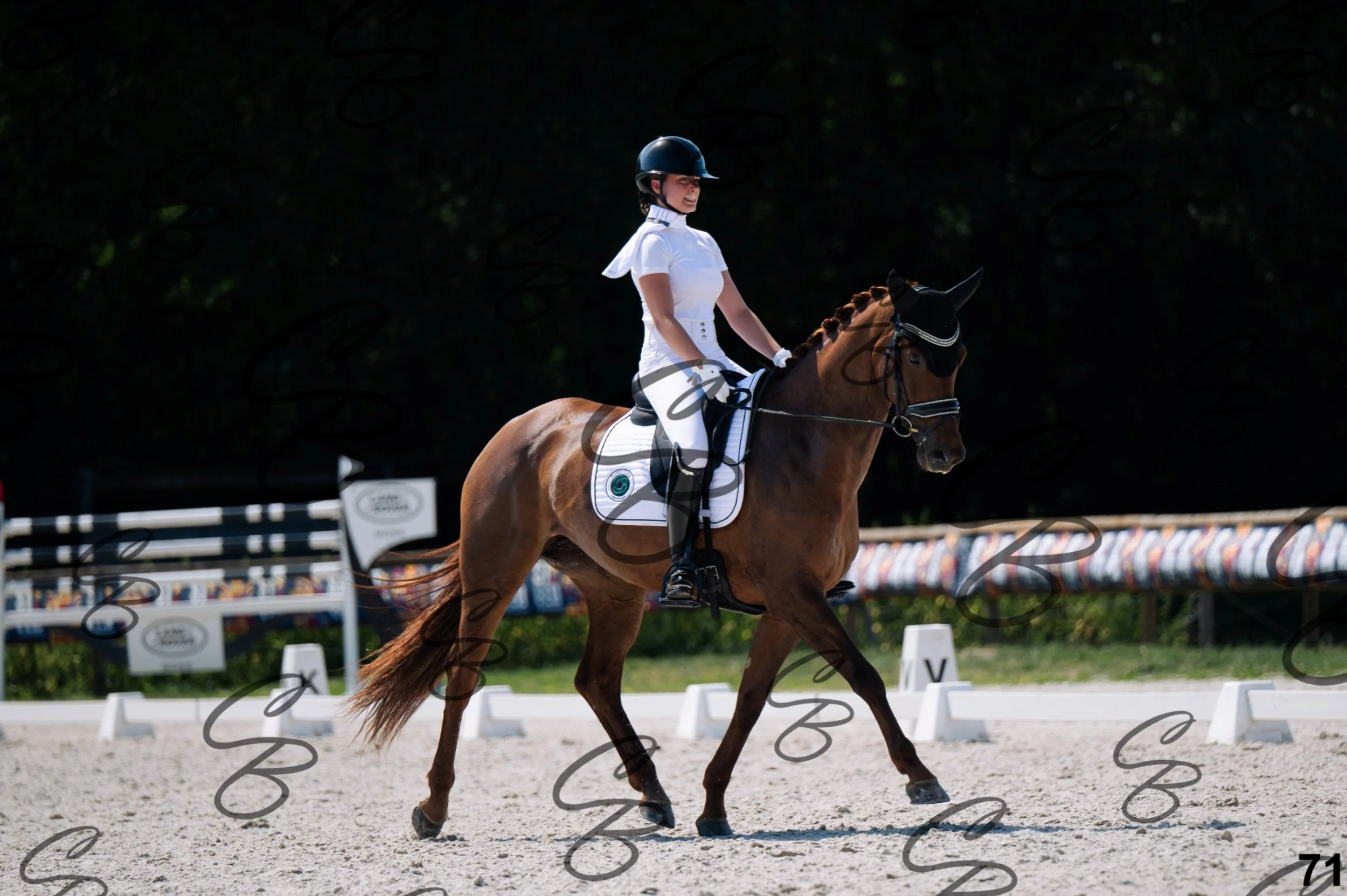 2026.07.12 - Niveau 2 - N2.4-71.jpg