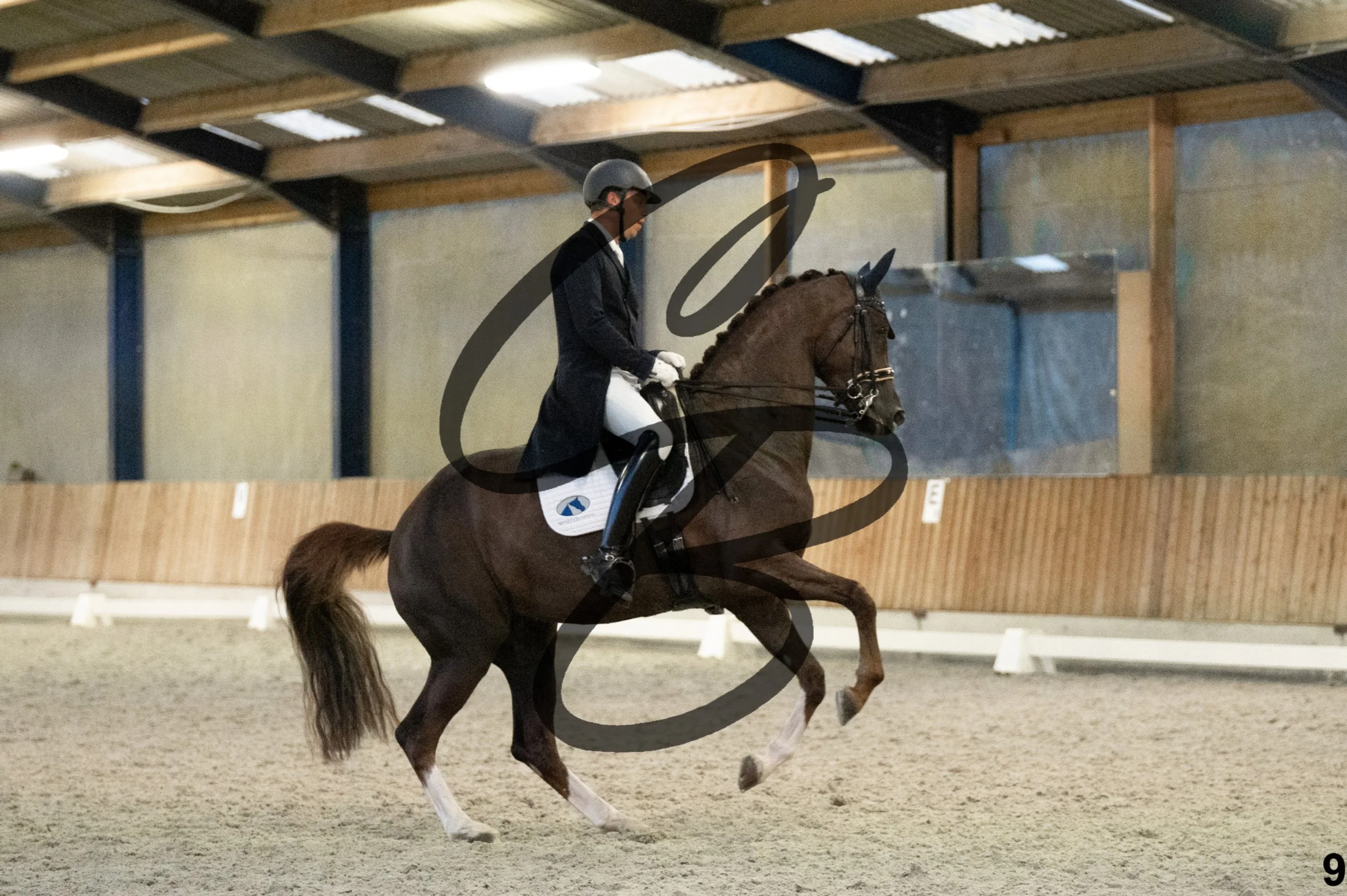 2026.03.22 - niv6 - Inter 1-9.jpg