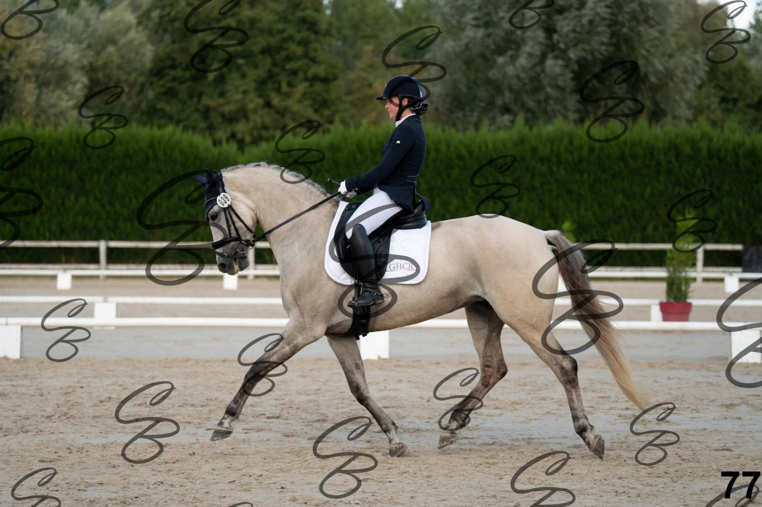 2026.09.20 - Djessy-77.jpg