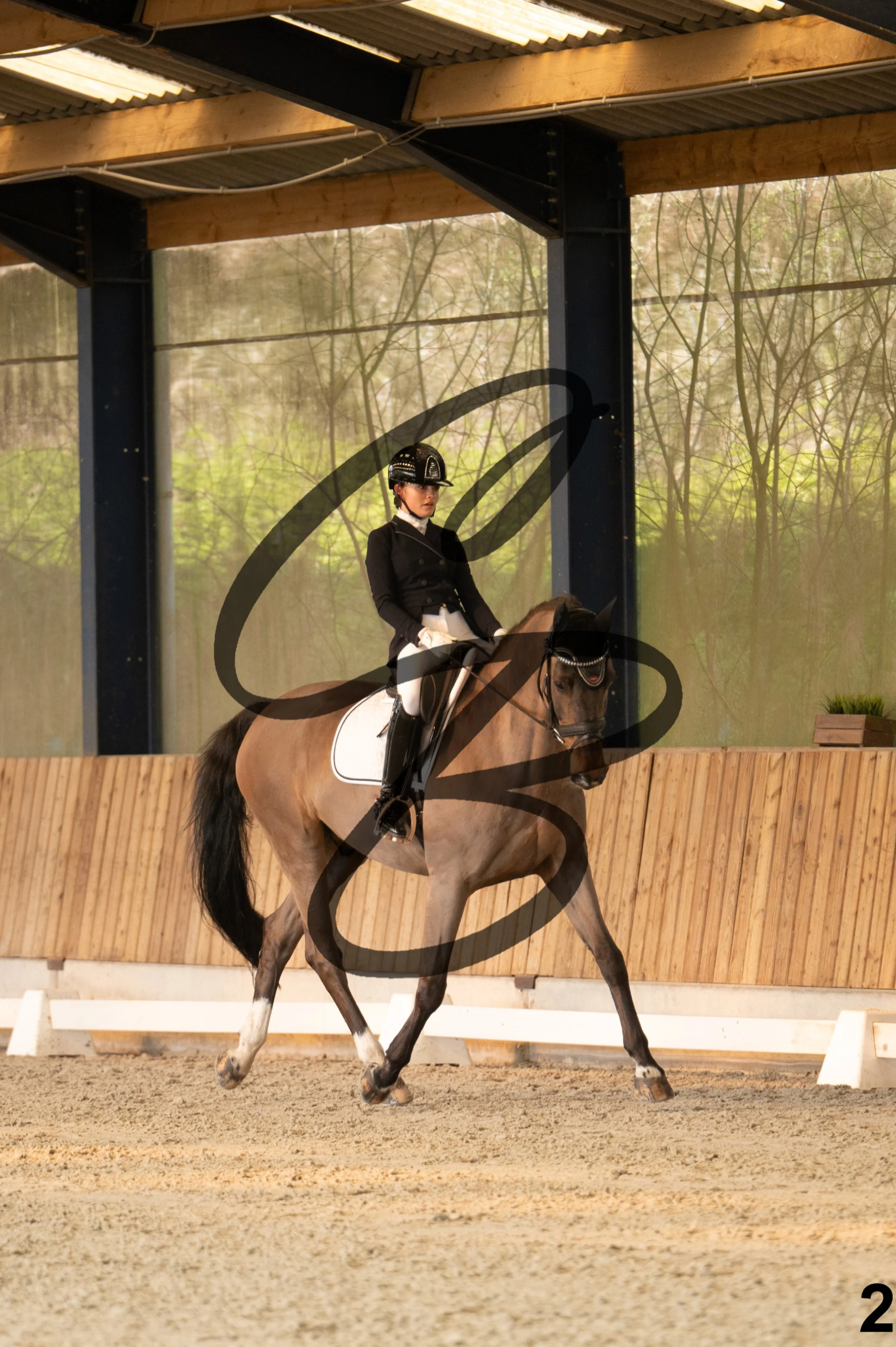 2026.03.22 - Niv2 - children team test-2.jpg