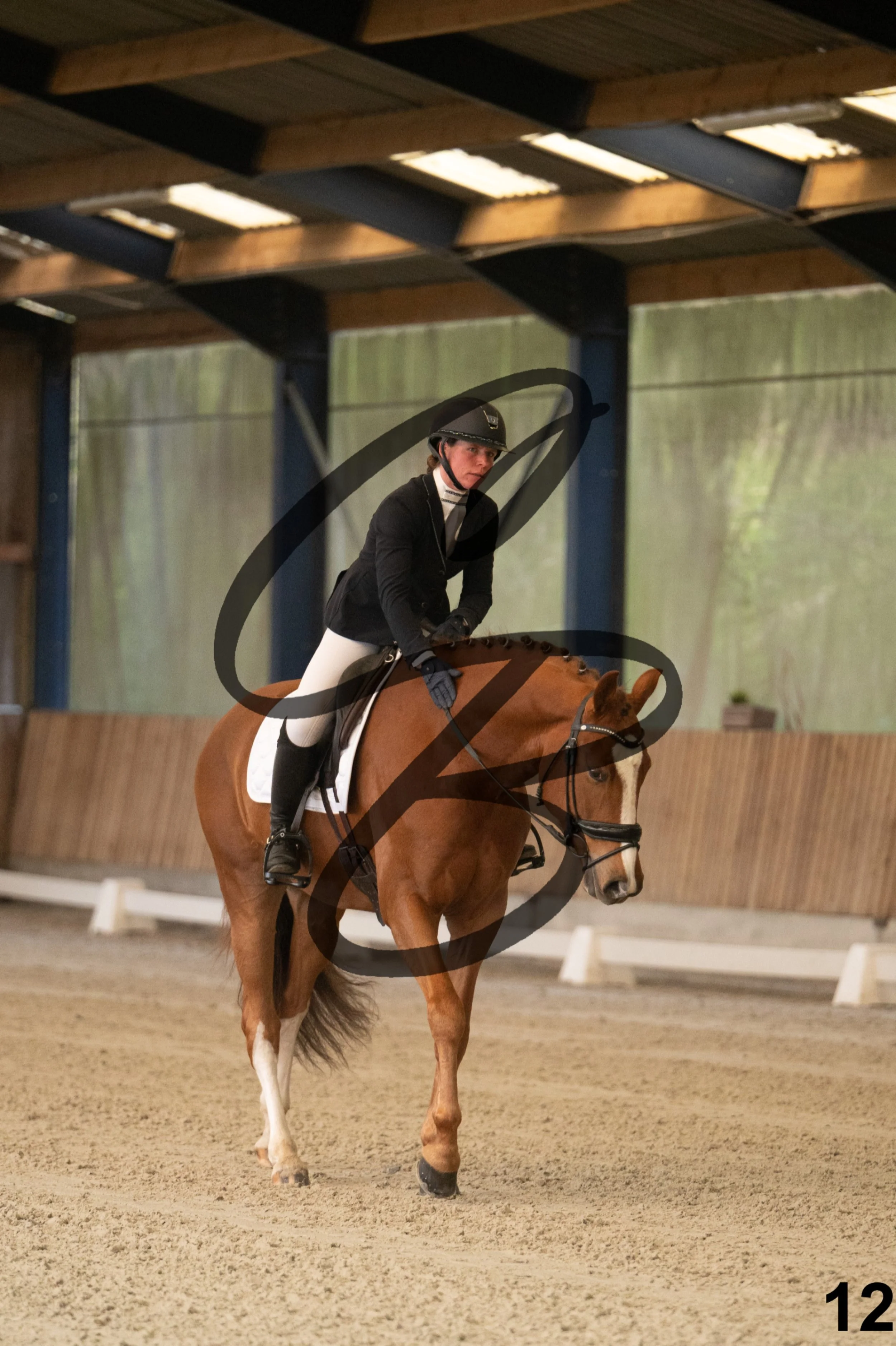 2026.03.22 - jeunes chevaux - 5ans-12.jpg