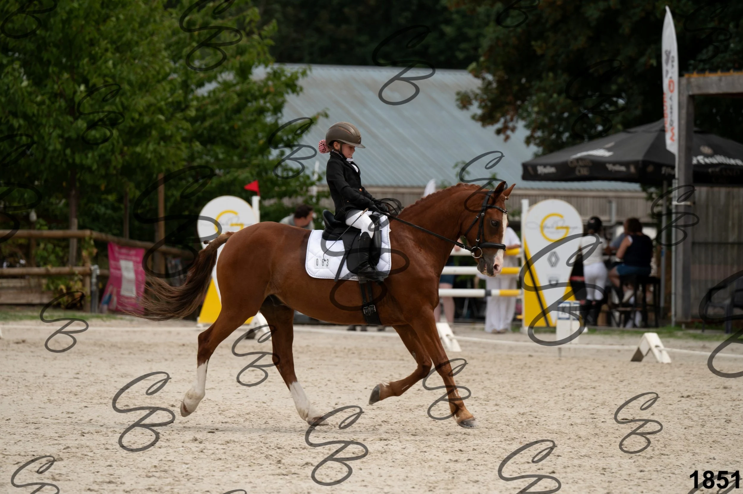 2026.08.16 - Louchier - GHO-37.jpg