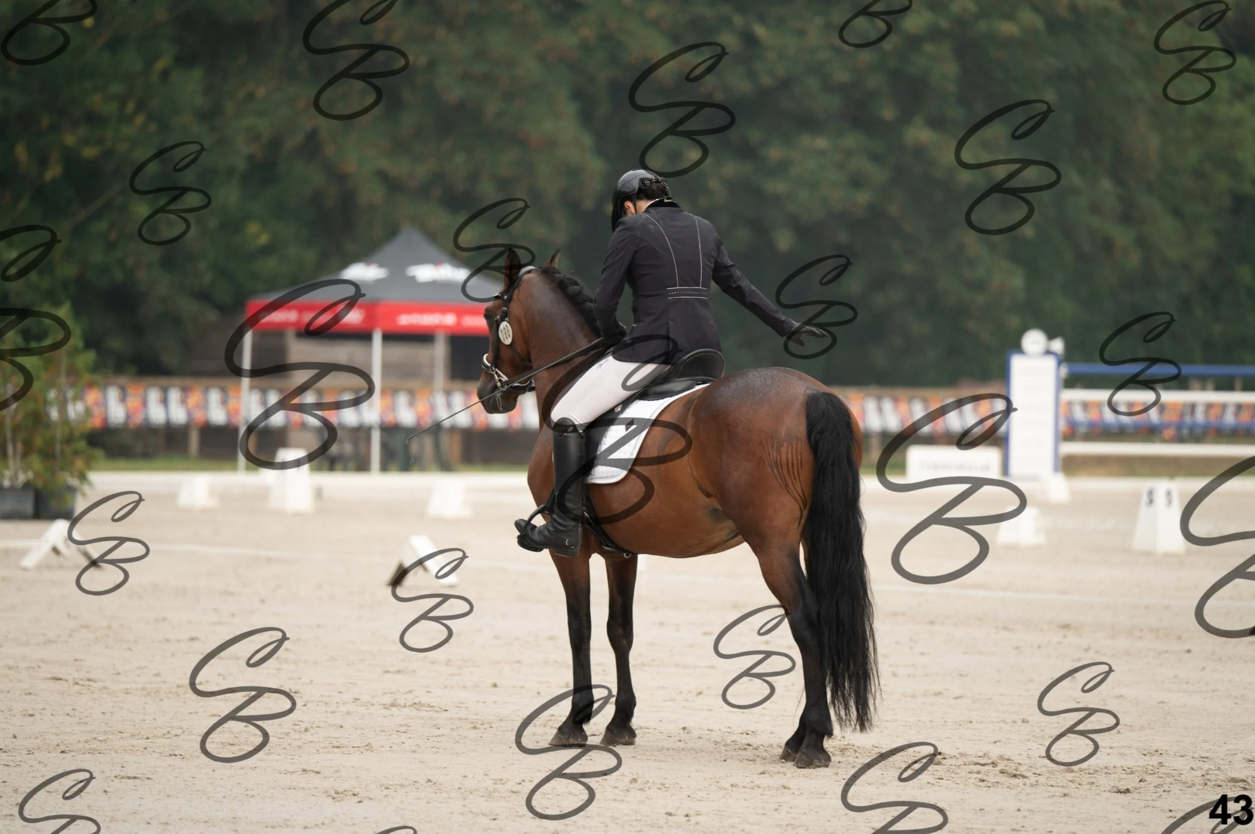 2026.08.15 - Louchier - GHO-66.jpg