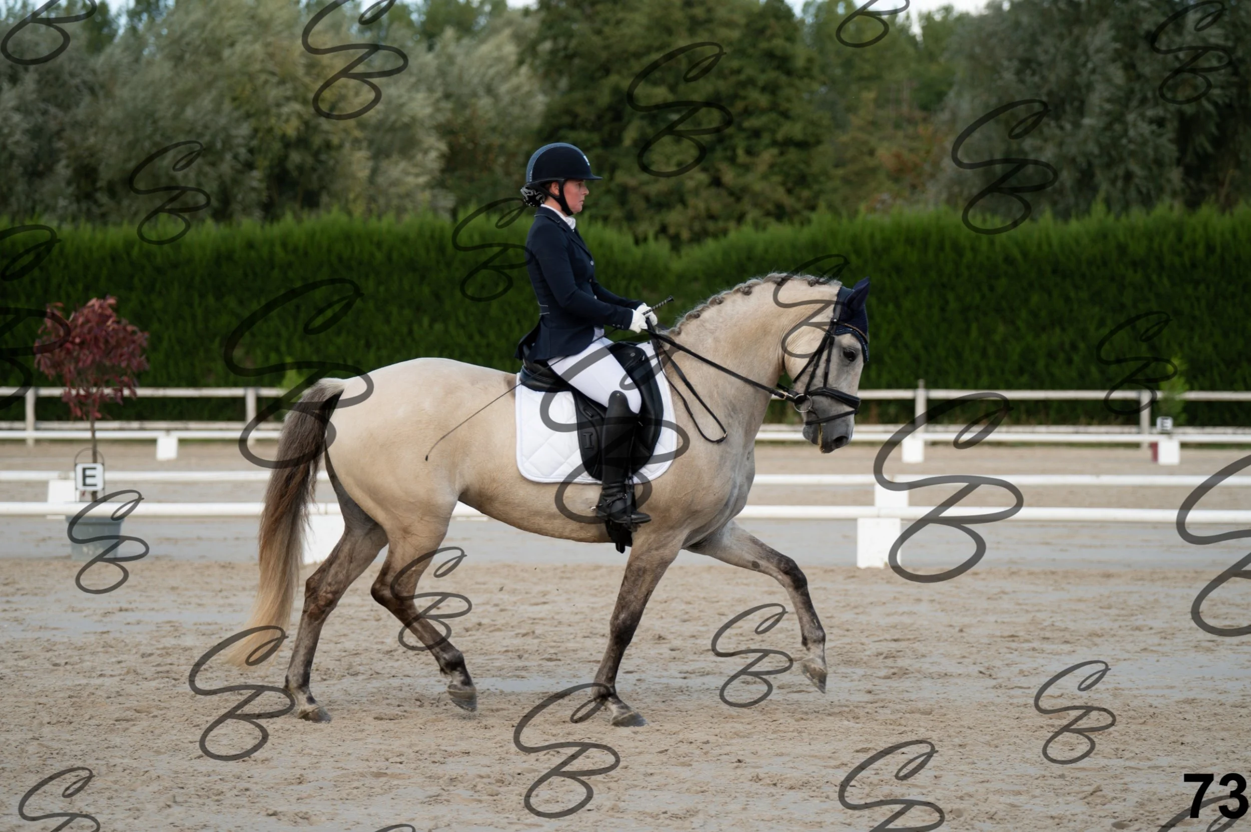 2026.09.20 - Djessy-73.jpg