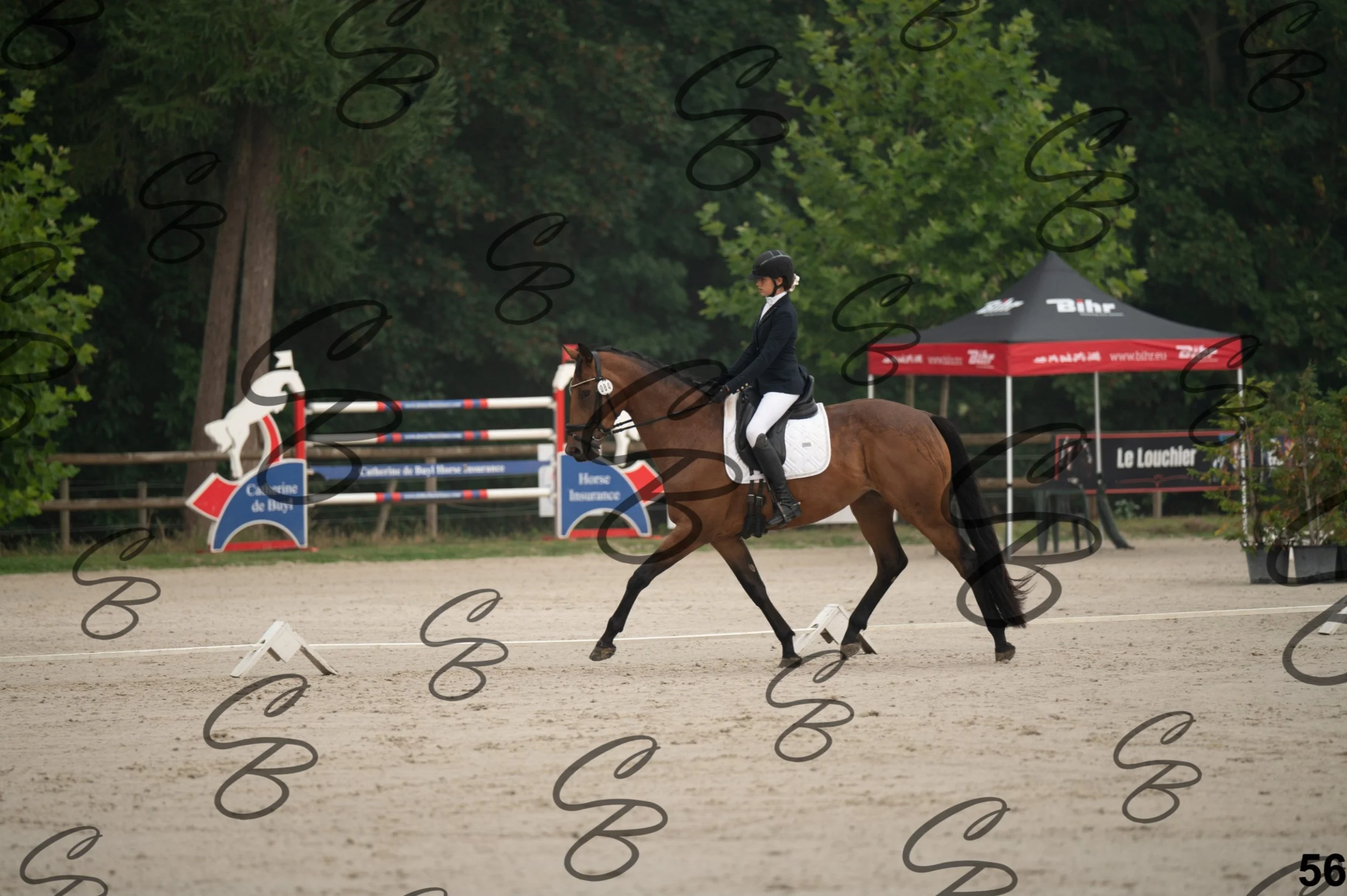 2026.08.15 - Louchier - GHO-87.jpg