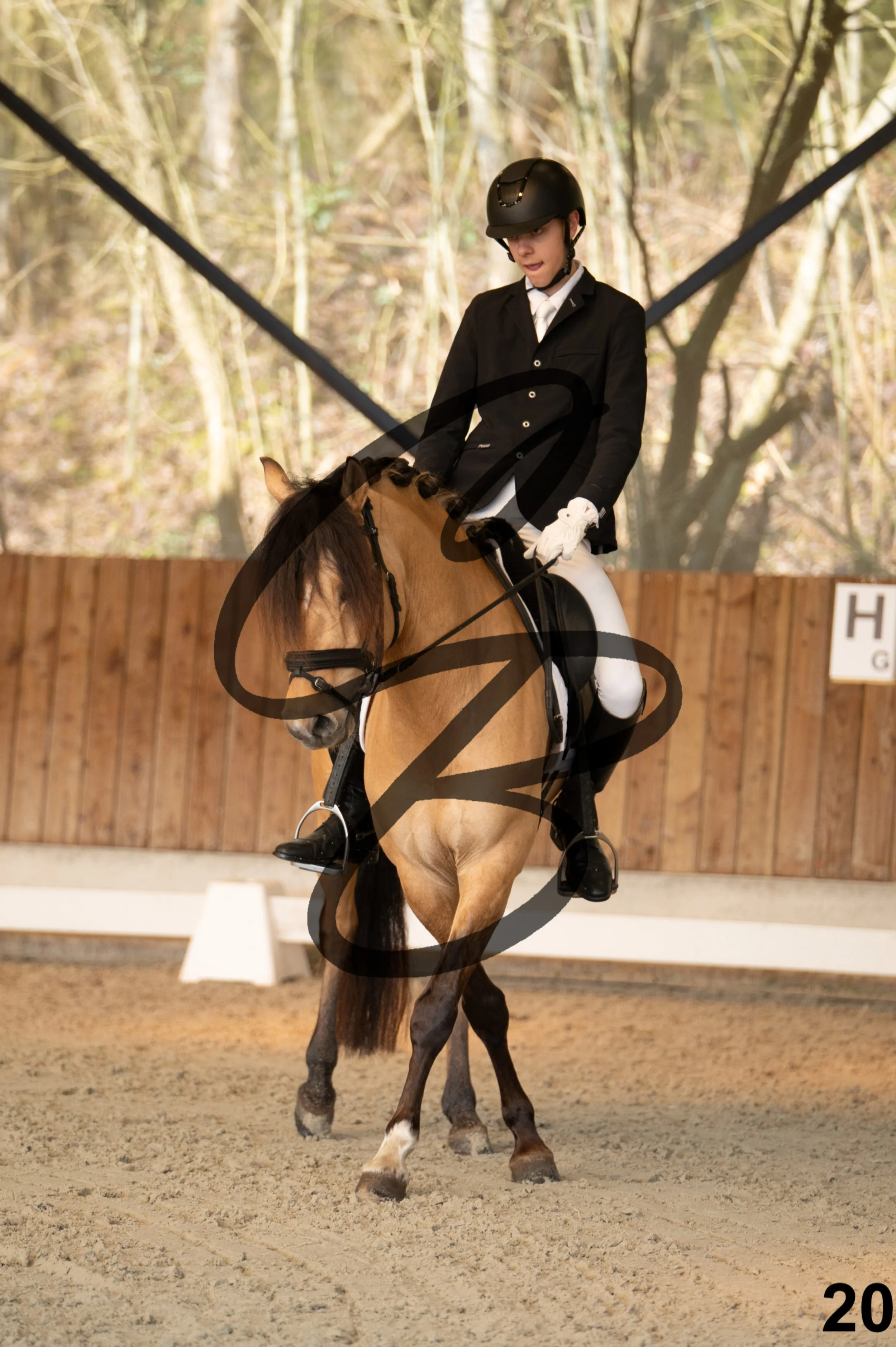 2026.03.22 - Niv3 - pony team test-20.jpg