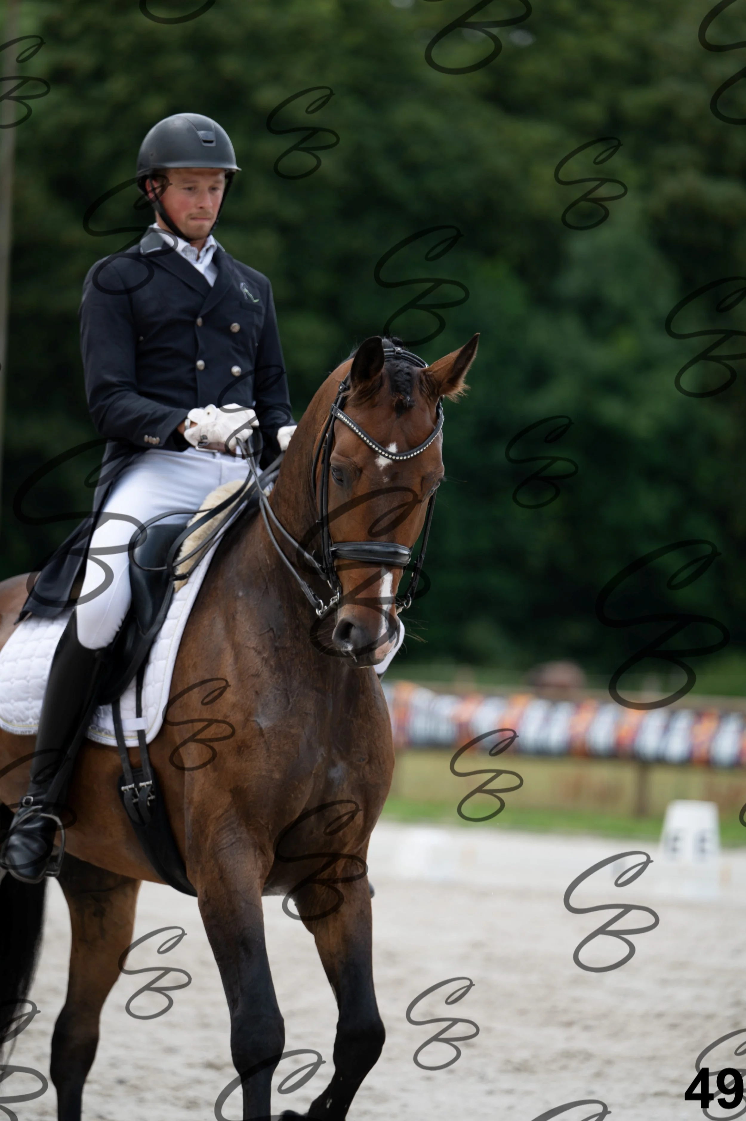 2026.07.04 - 4 Woutter D'hHoore-4.jpg