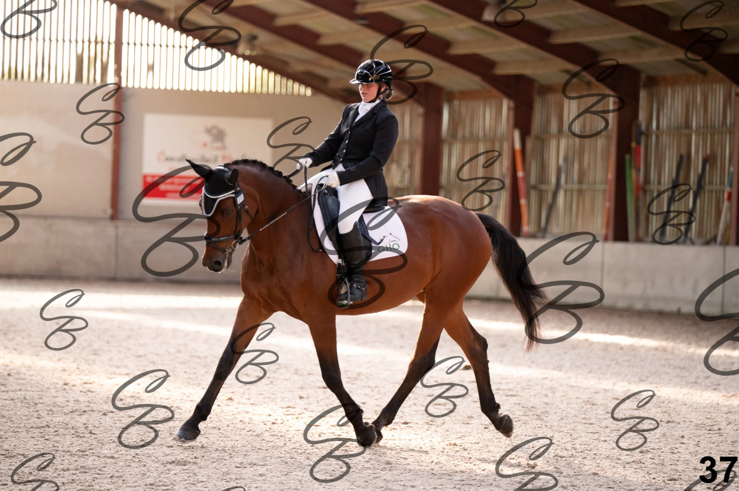 2026.09.20 - Caroline-37.jpg