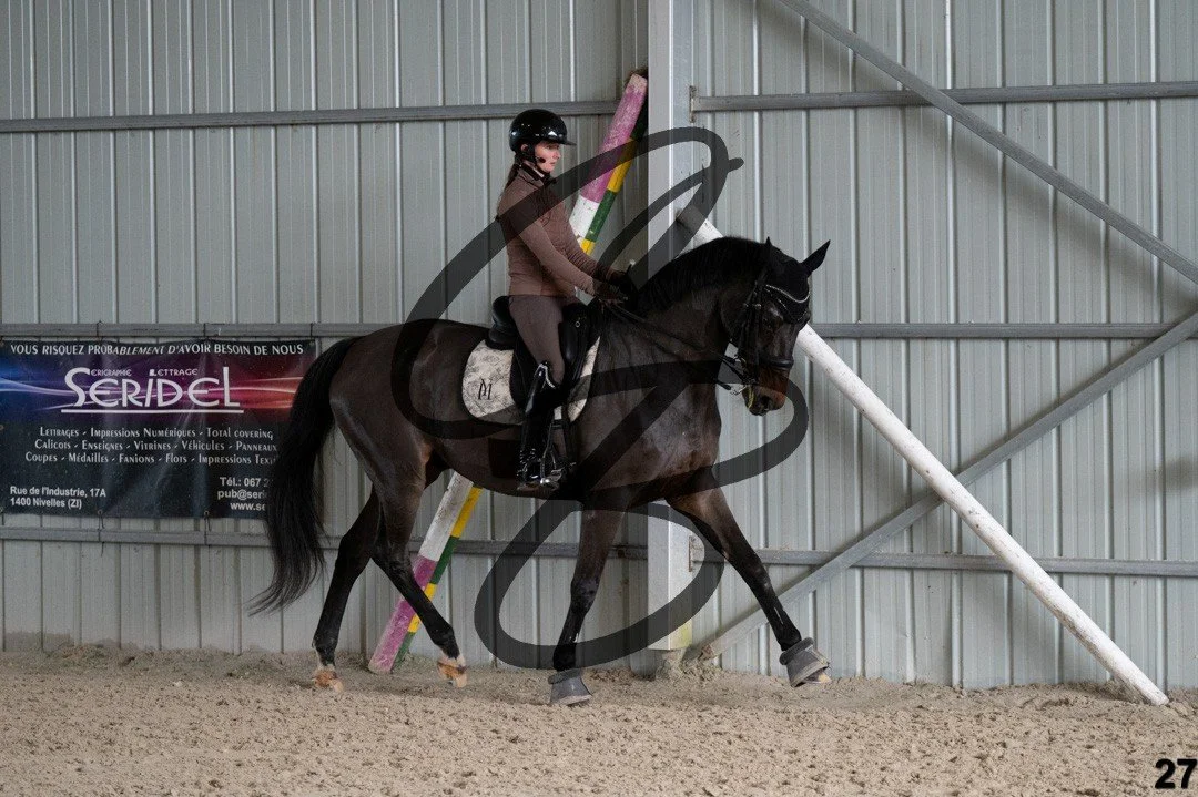 2025.12.06 - Manon&Dab-27.jpg