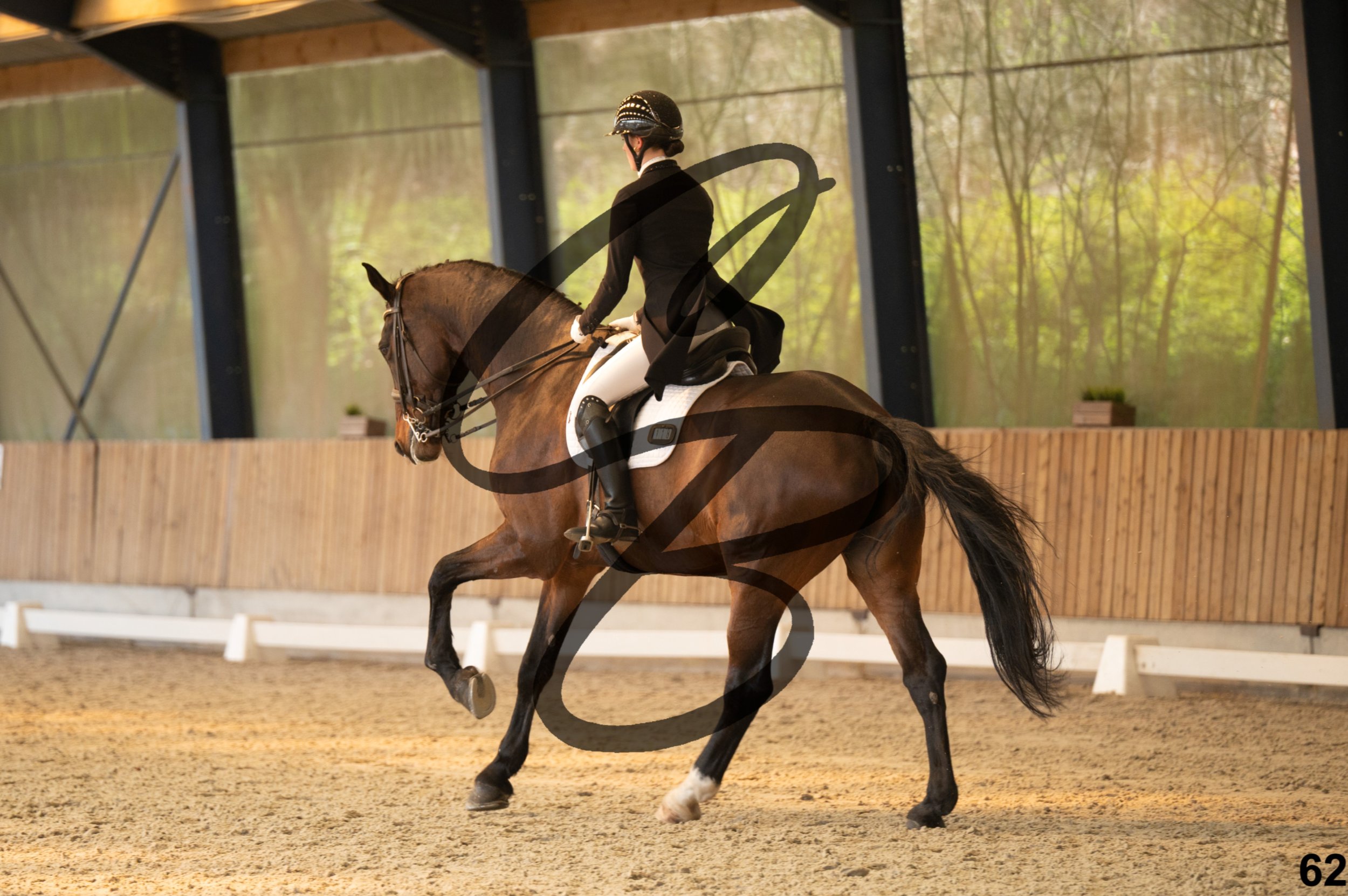 2026.03.22 - Niv5 - Young rider team-62.jpg