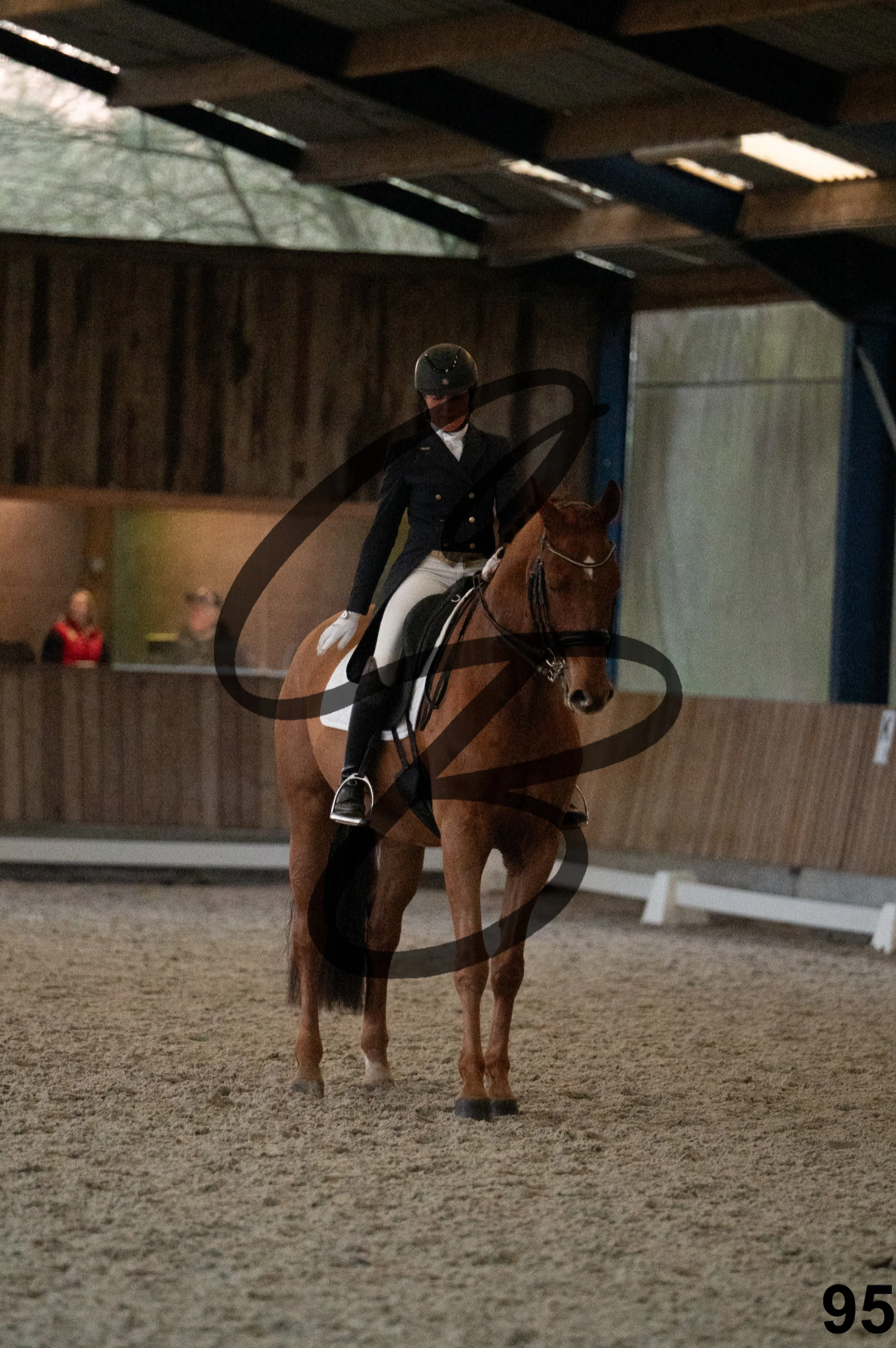 2026.03.22 - niv5 - saint georges-95.jpg