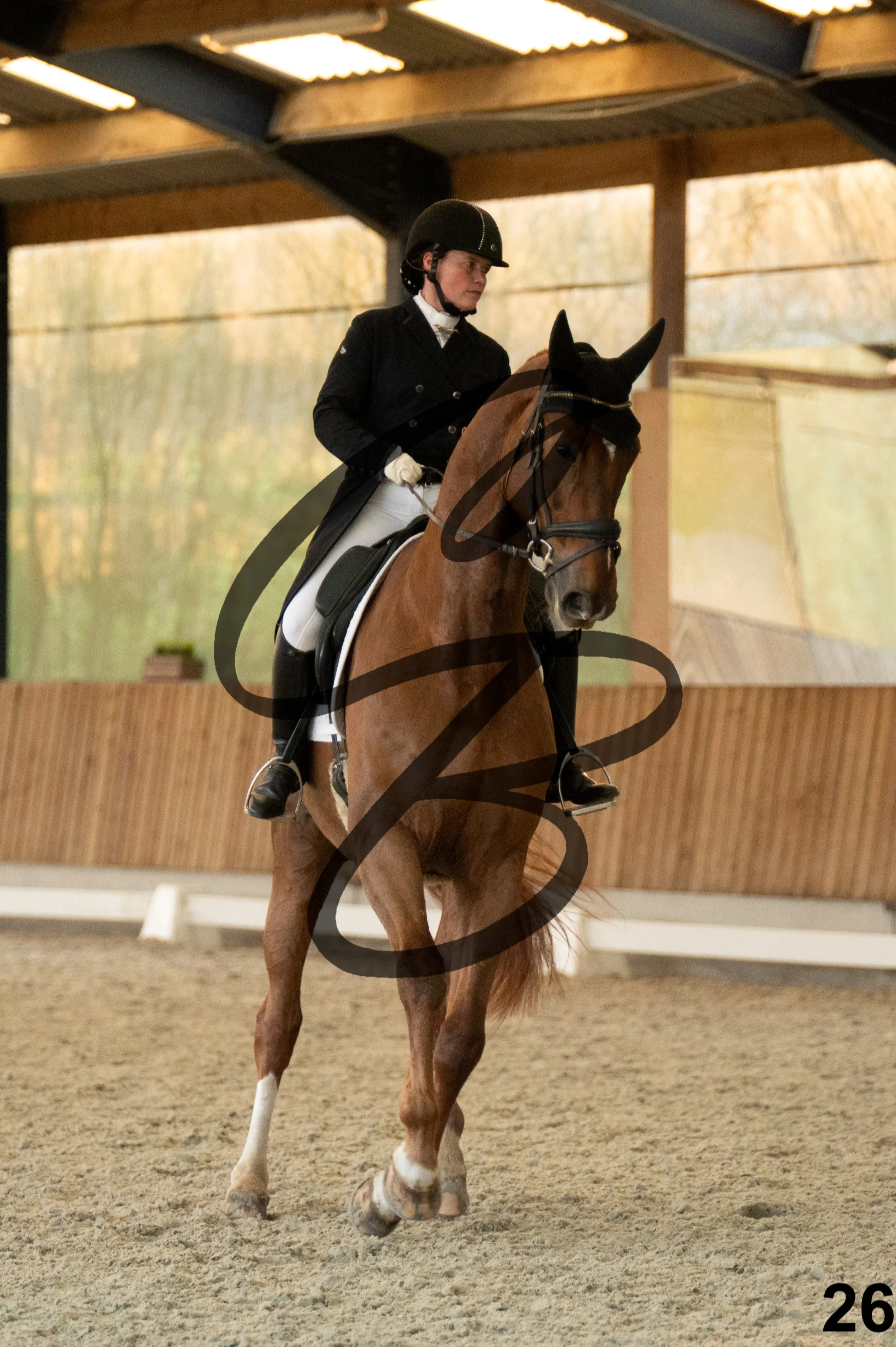 2026.03.22 - niv5 - saint georges-26.jpg