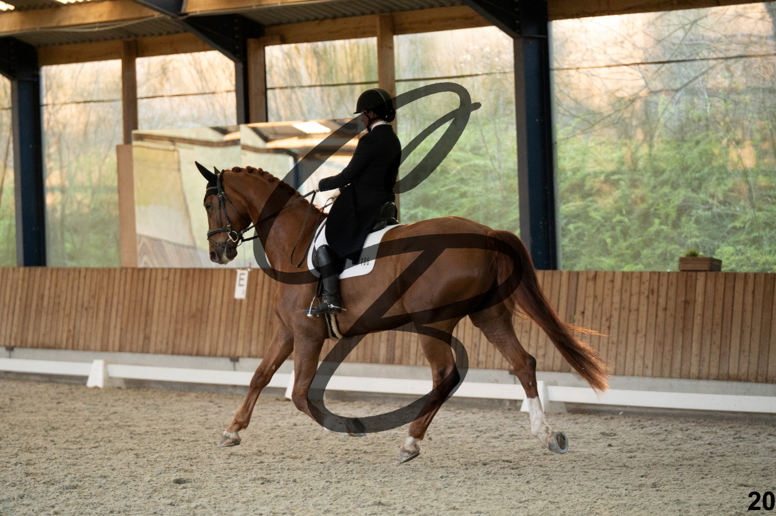 2026.03.22 - niv5 - saint georges-20.jpg