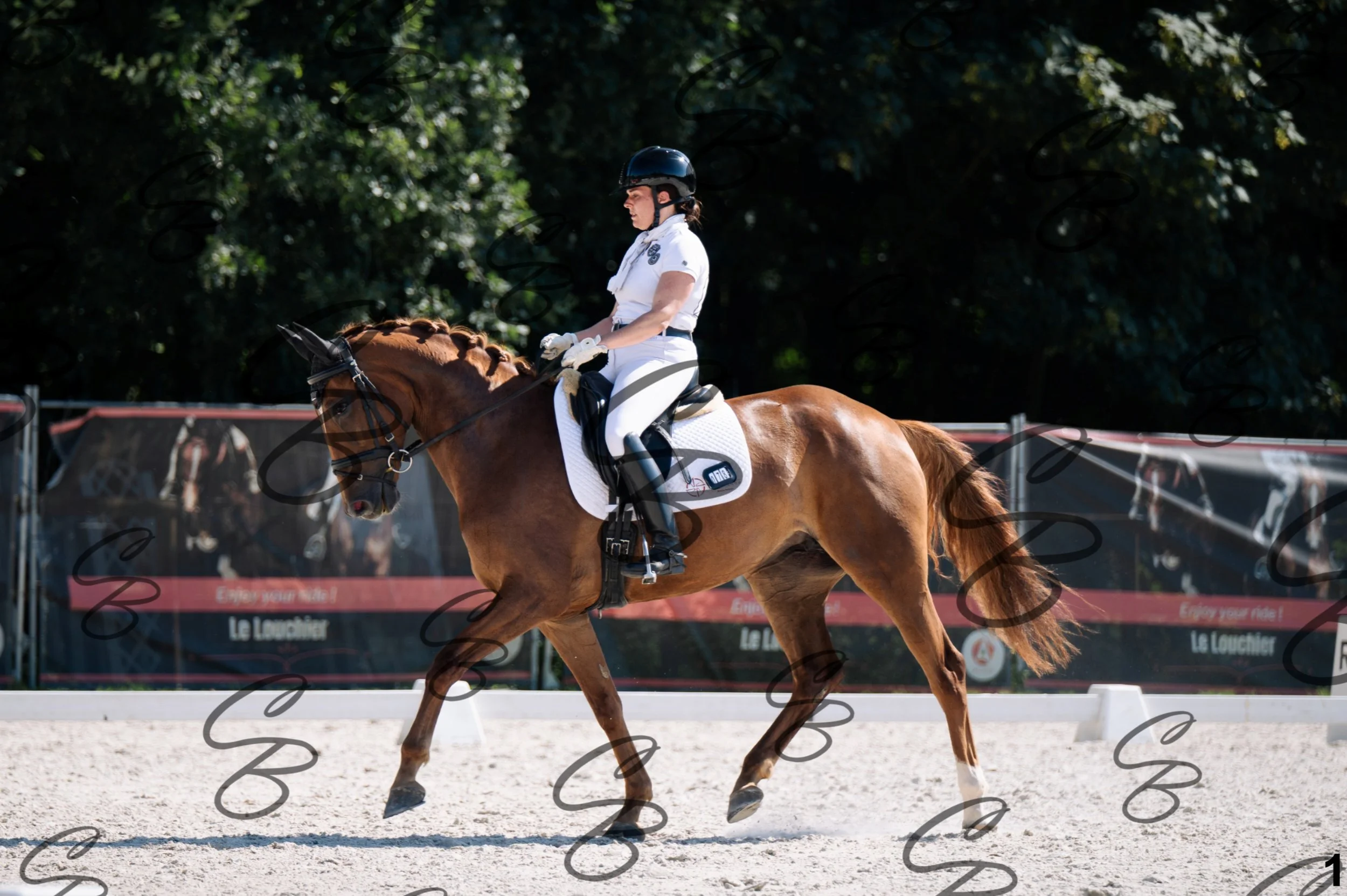 2026.07.12 - Jeunes chevaux - FEI 5YH Preliminary Test-1.jpg