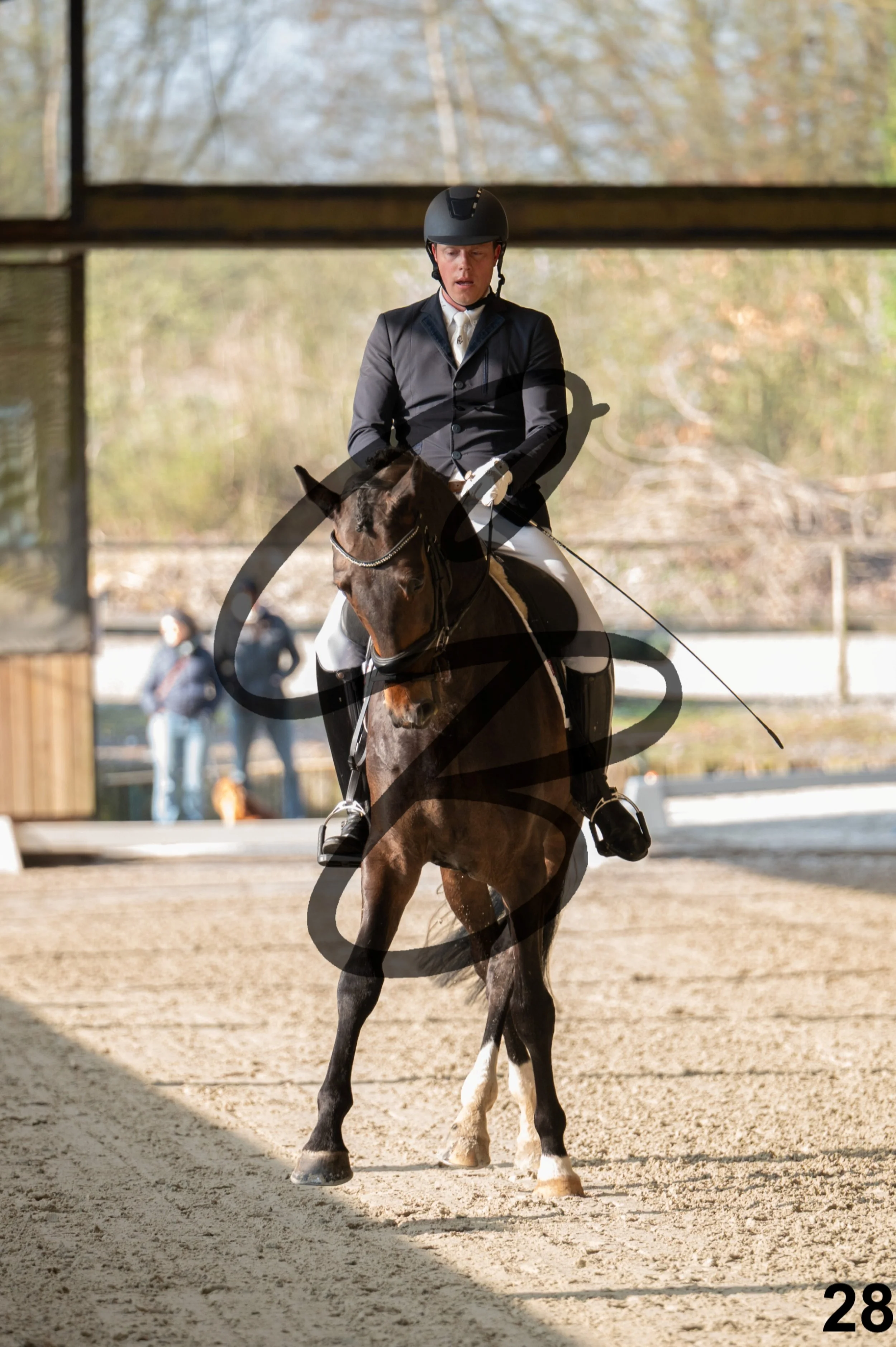 2026.03.22 - jeunes chevaux - 6ans-28.jpg