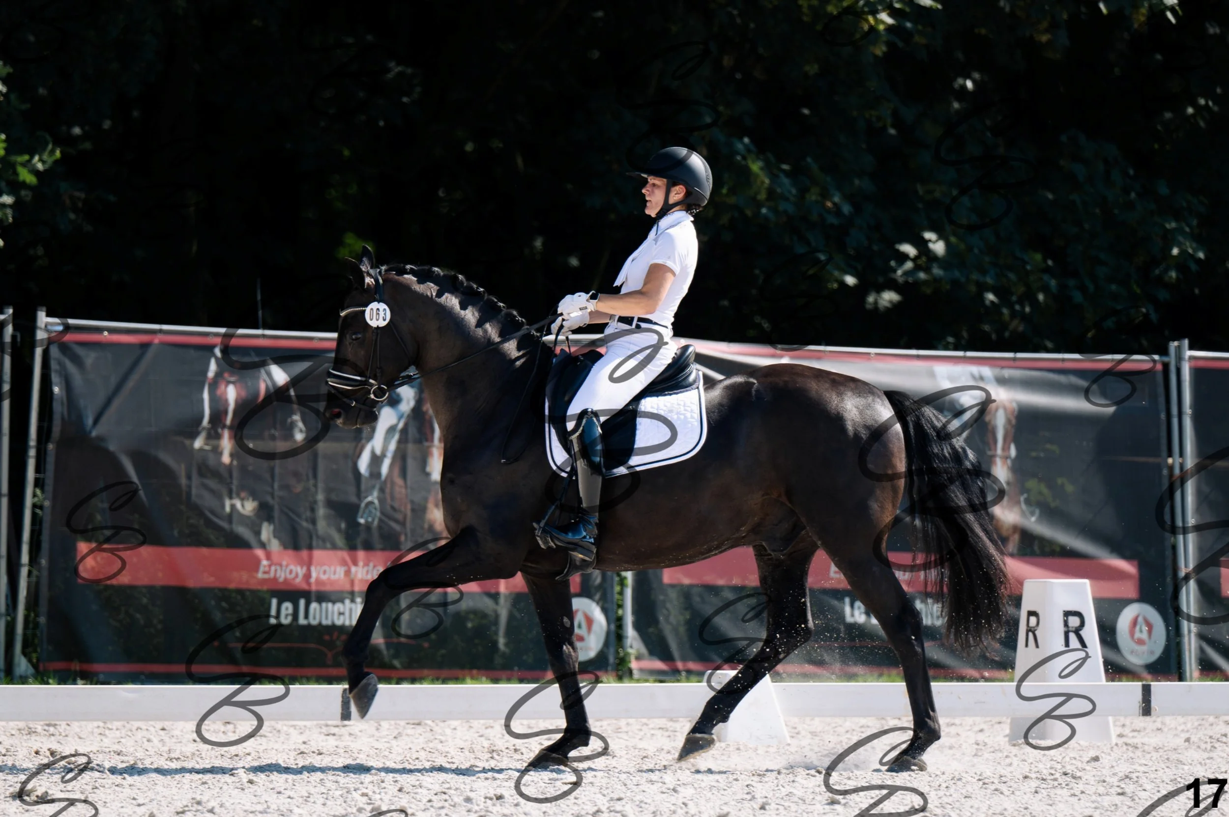 2026.07.12 - Jeunes chevaux - FEI 5YH Preliminary Test-17.jpg
