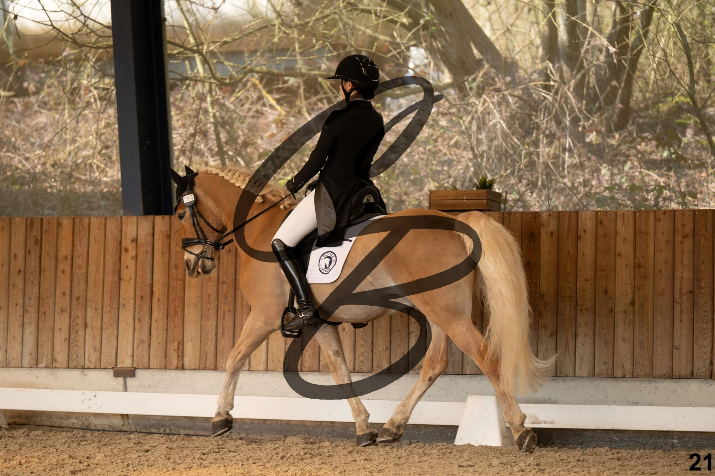 2026.03.22 - Niv4 - junior team test-21.jpg