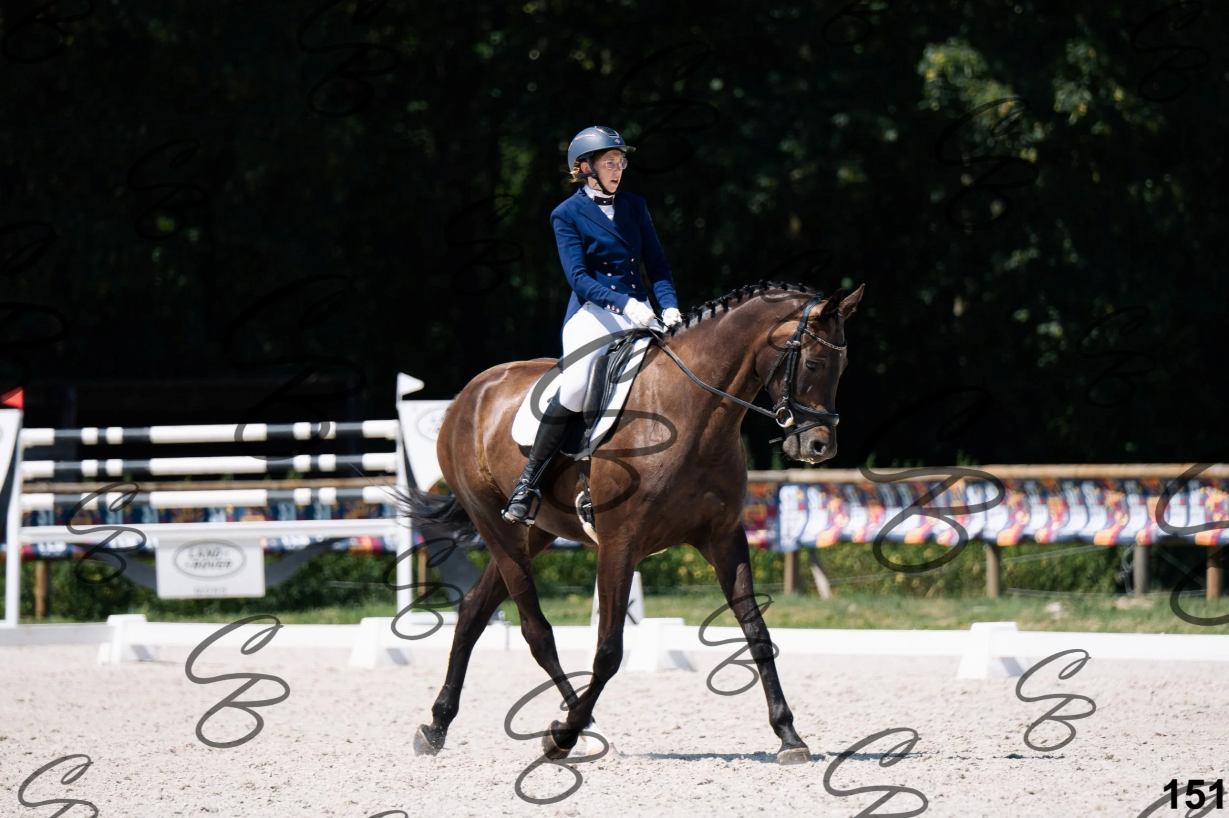 2026.07.12 - Niveau 4 - N4.3-151.jpg