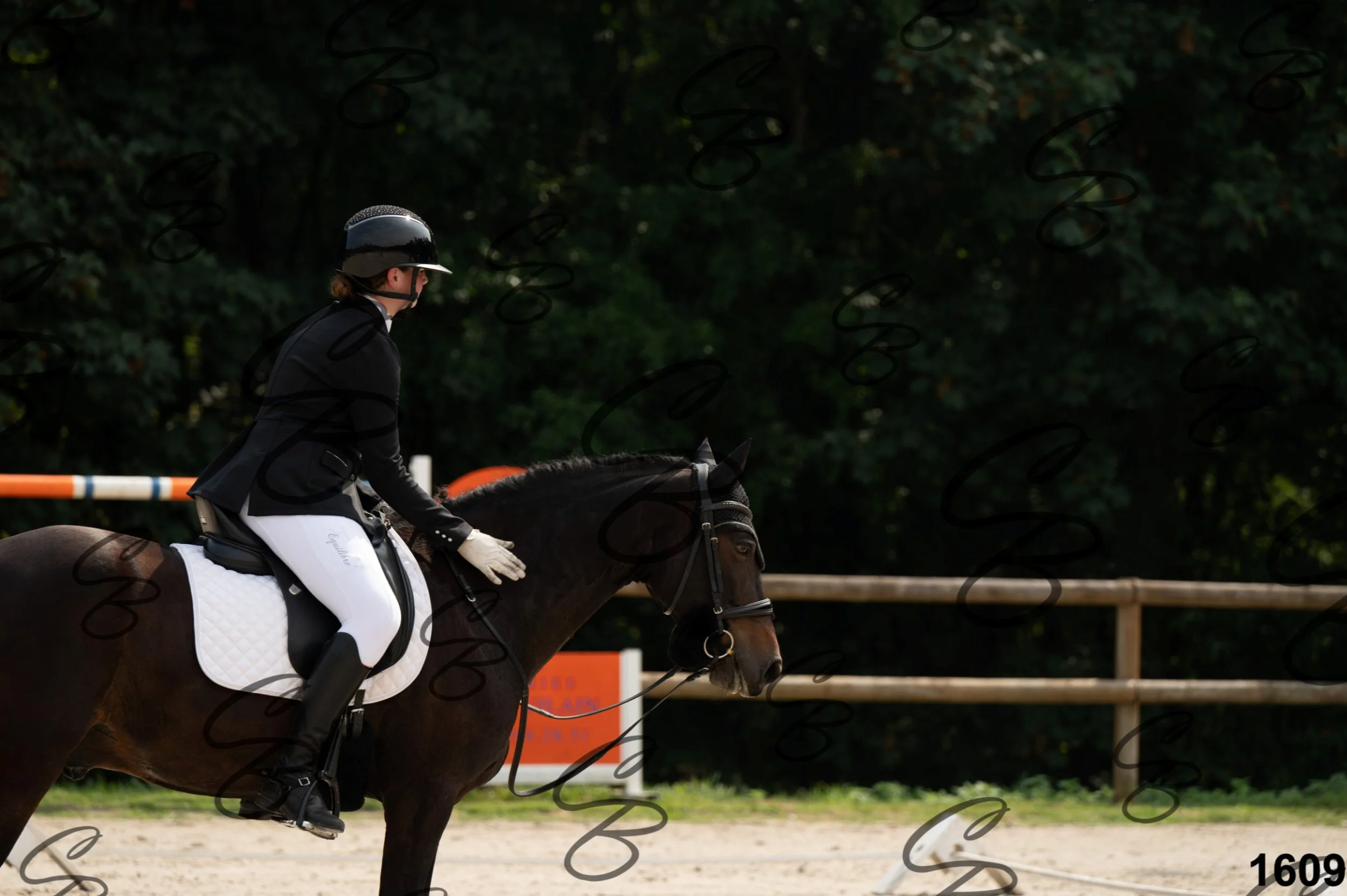 2026.08.15 - Louchier - GHO-1814.jpg