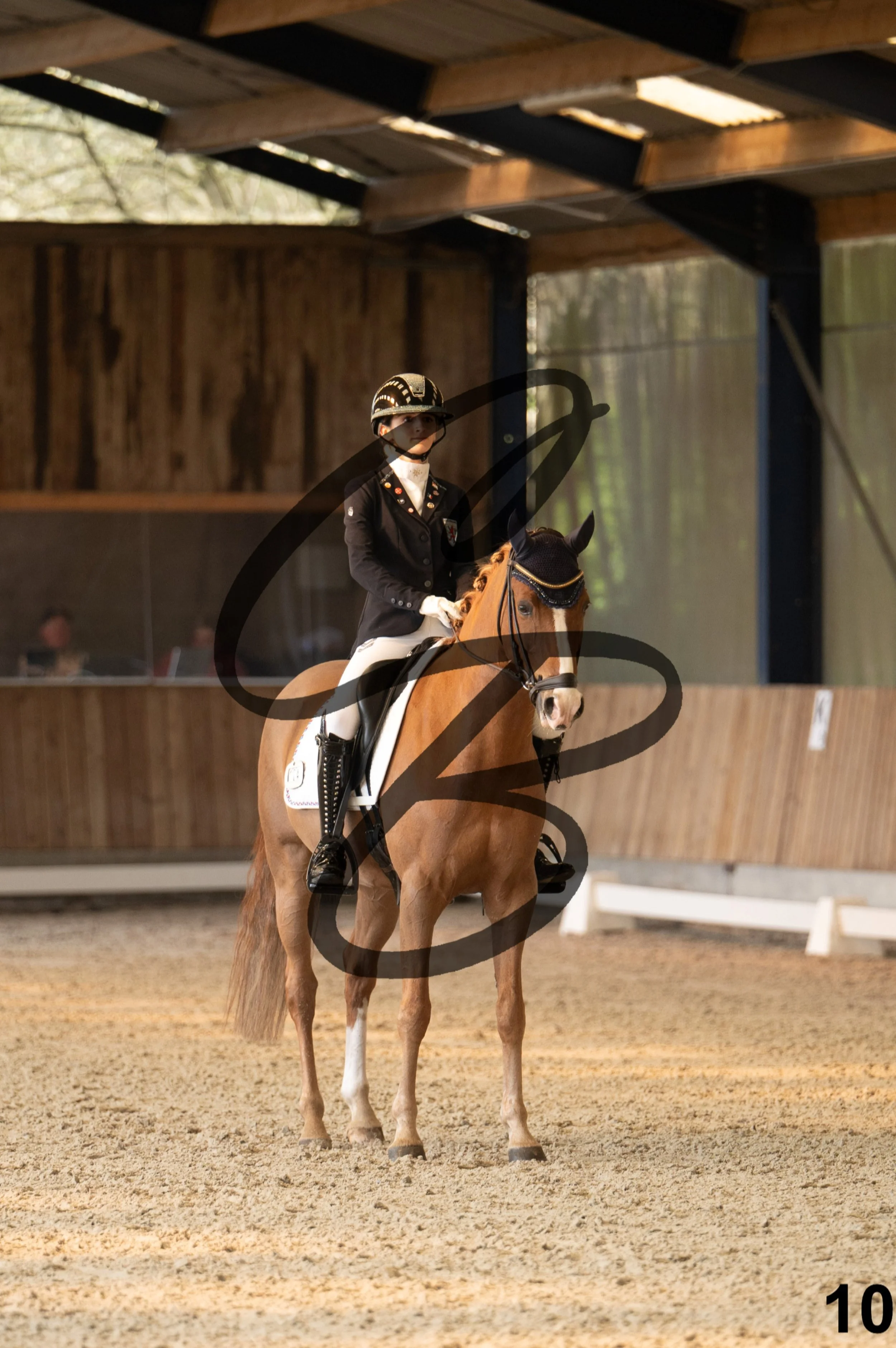 2026.03.22 - Niv3 - pony team test-10.jpg