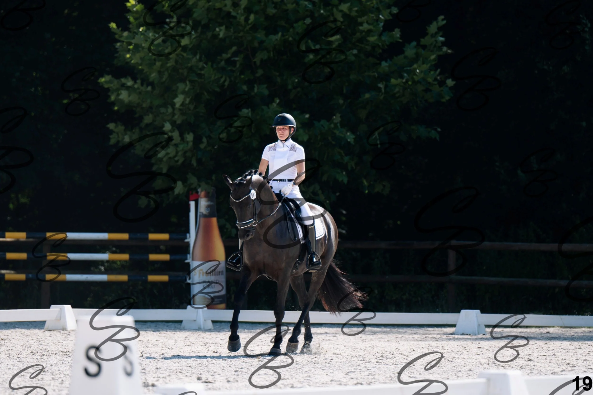 2026.07.12 - Jeunes chevaux - FEI 5YH Preliminary Test-19.jpg