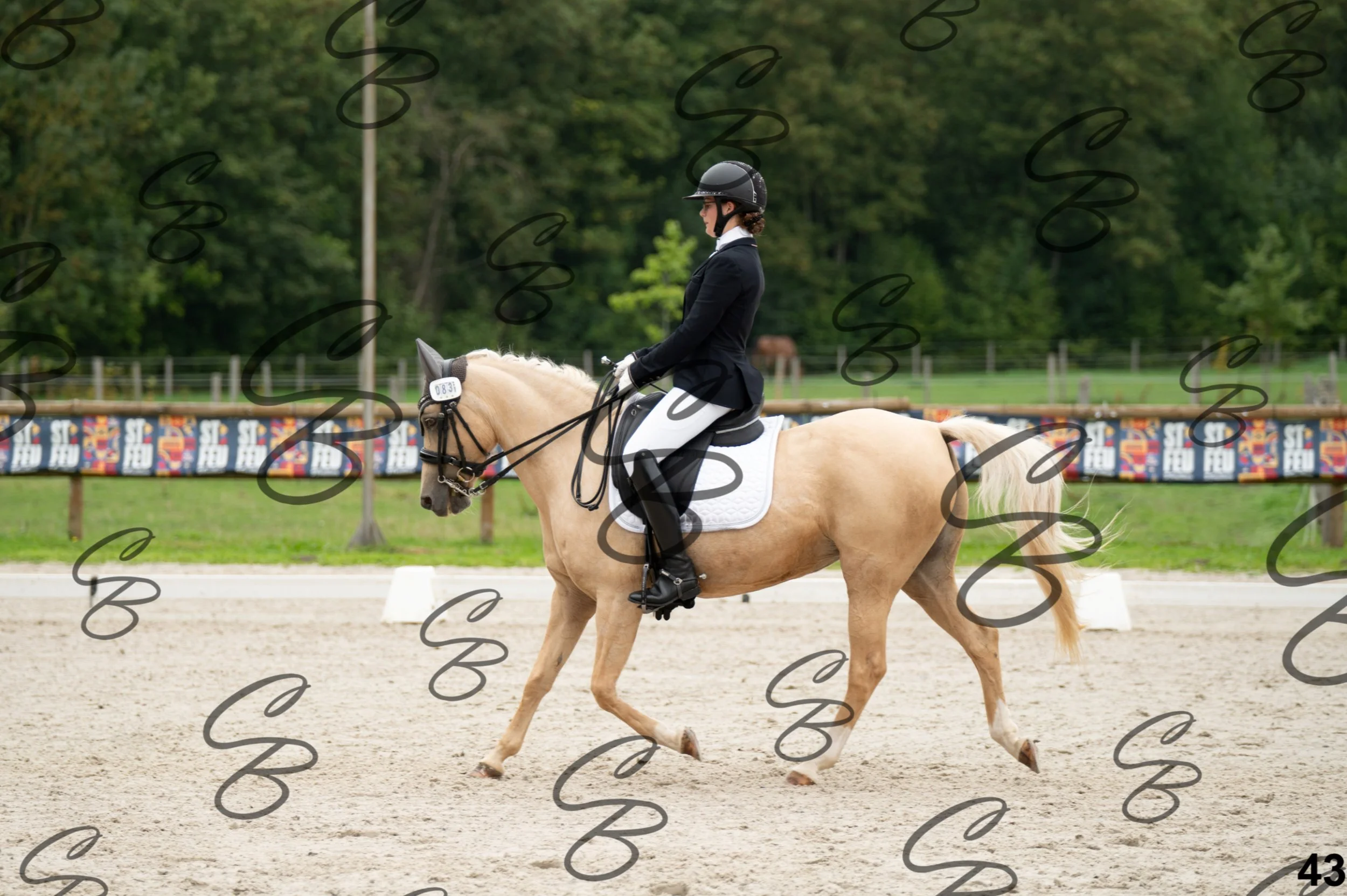 2026.09.13 - Alyssia-43.jpg
