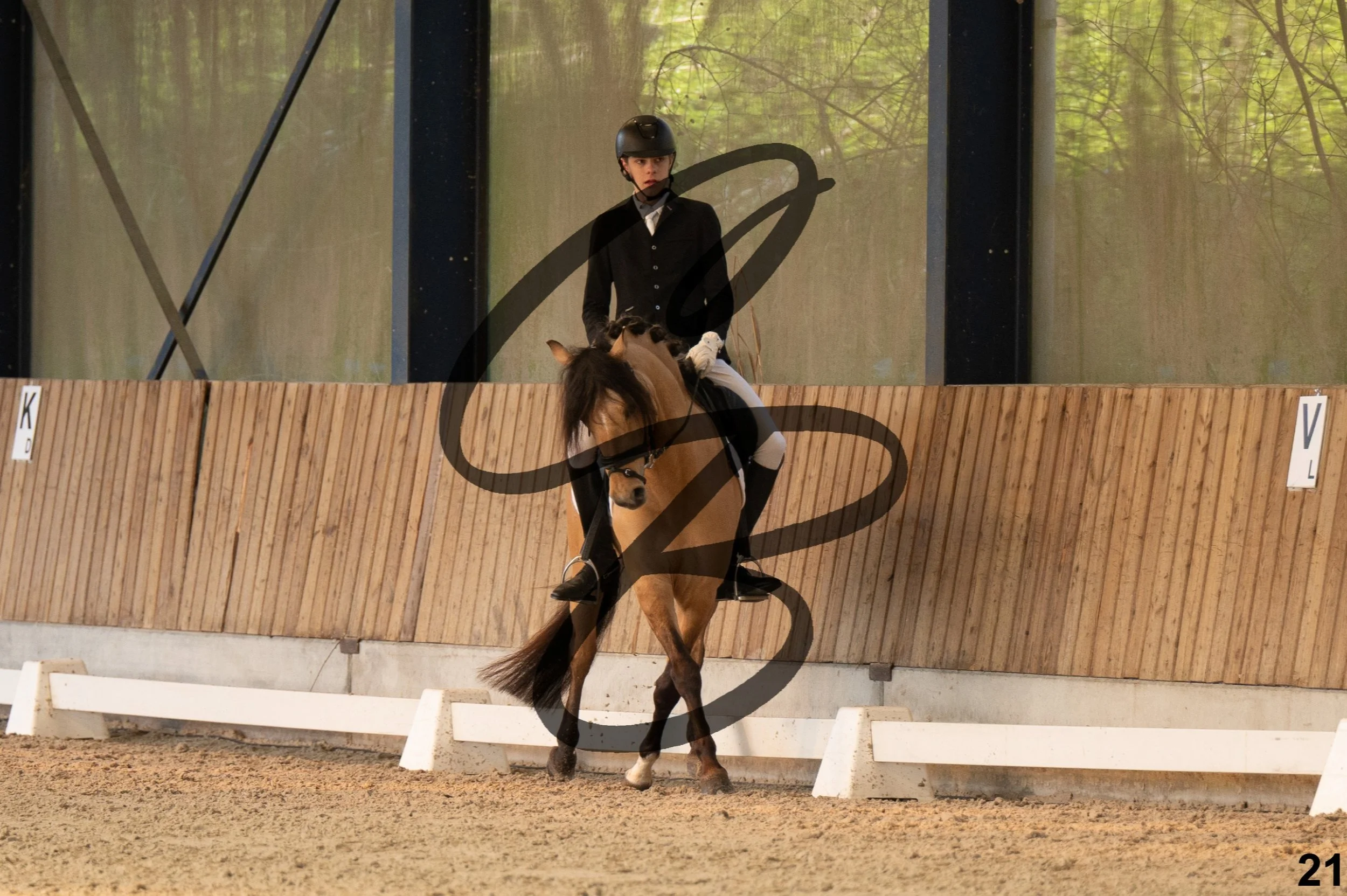 2026.03.22 - Niv3 - pony team test-21.jpg